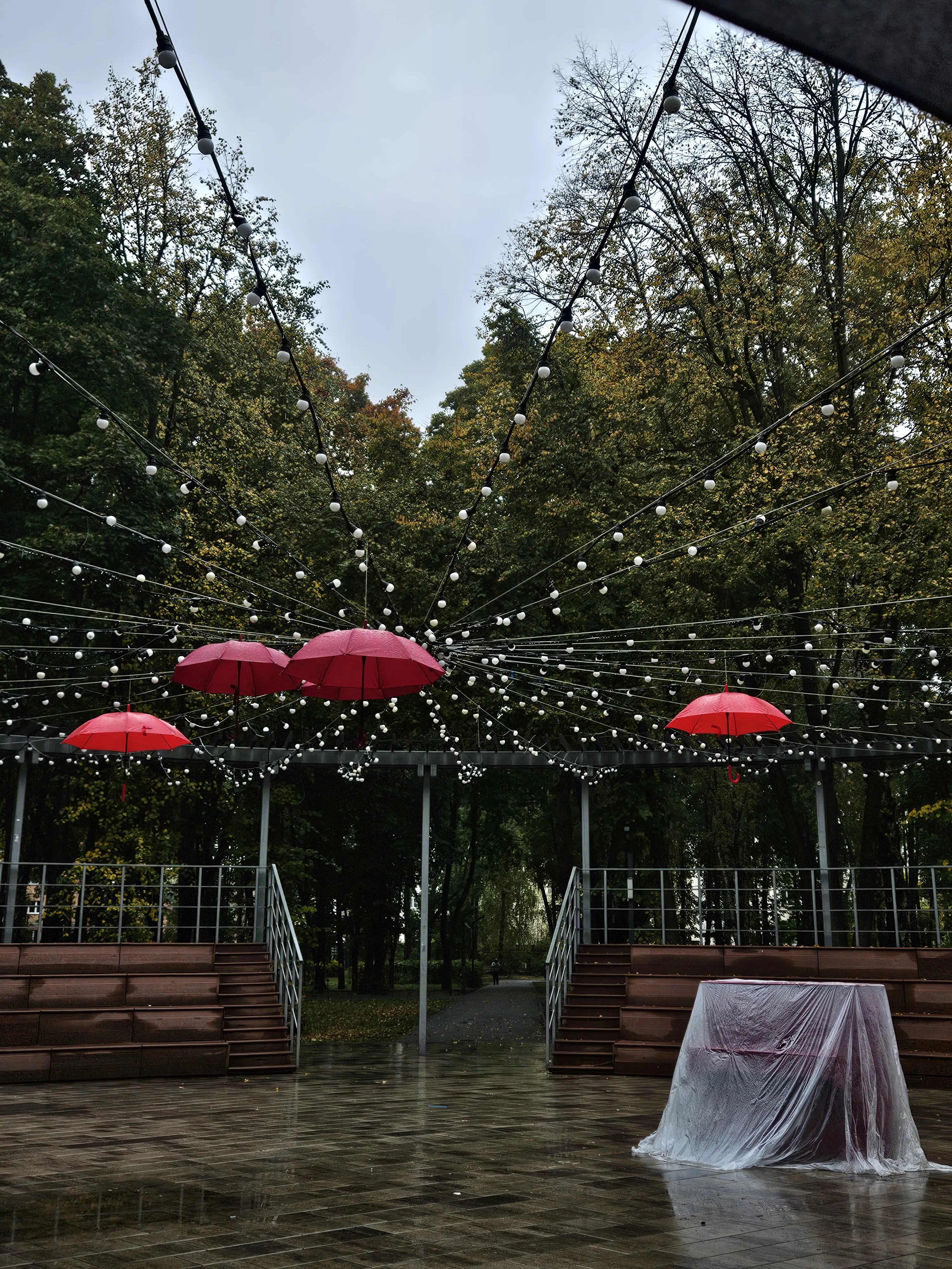 После дождя