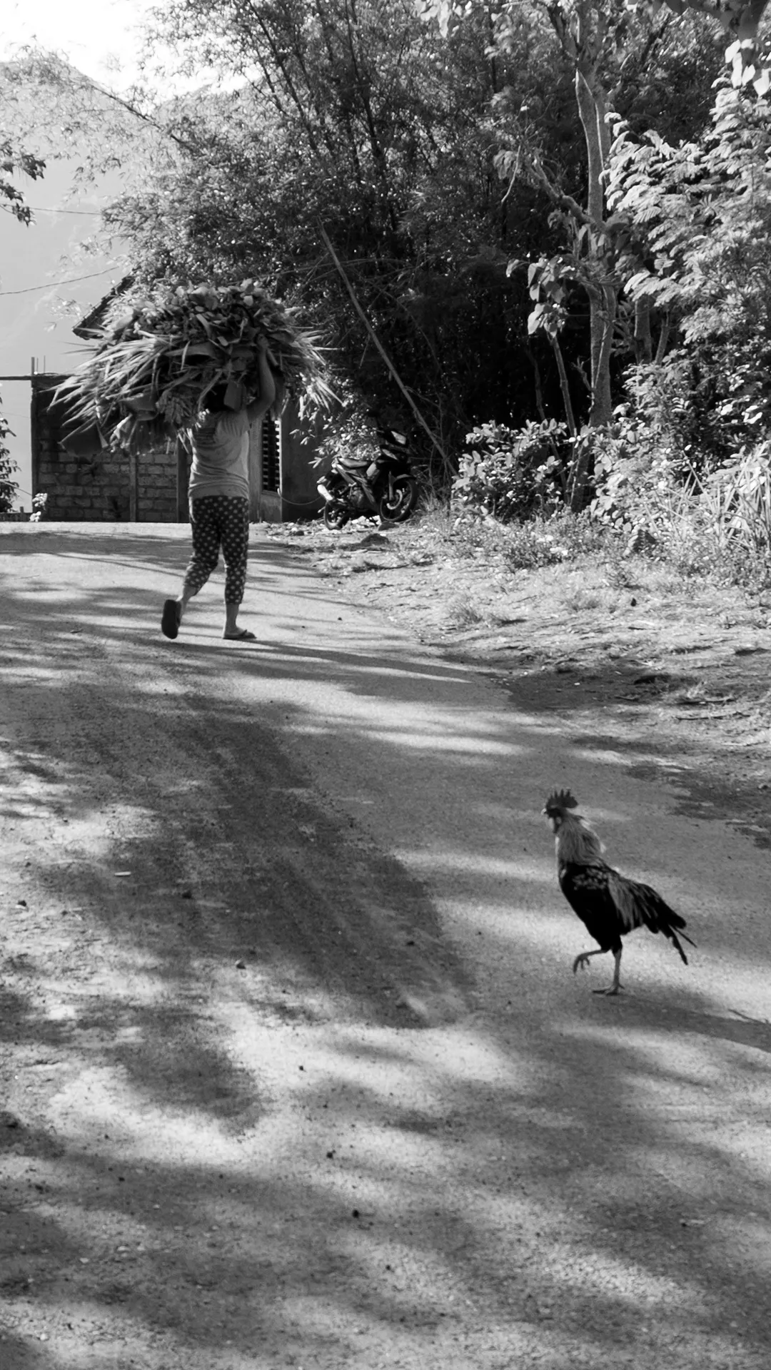 Передразнивание