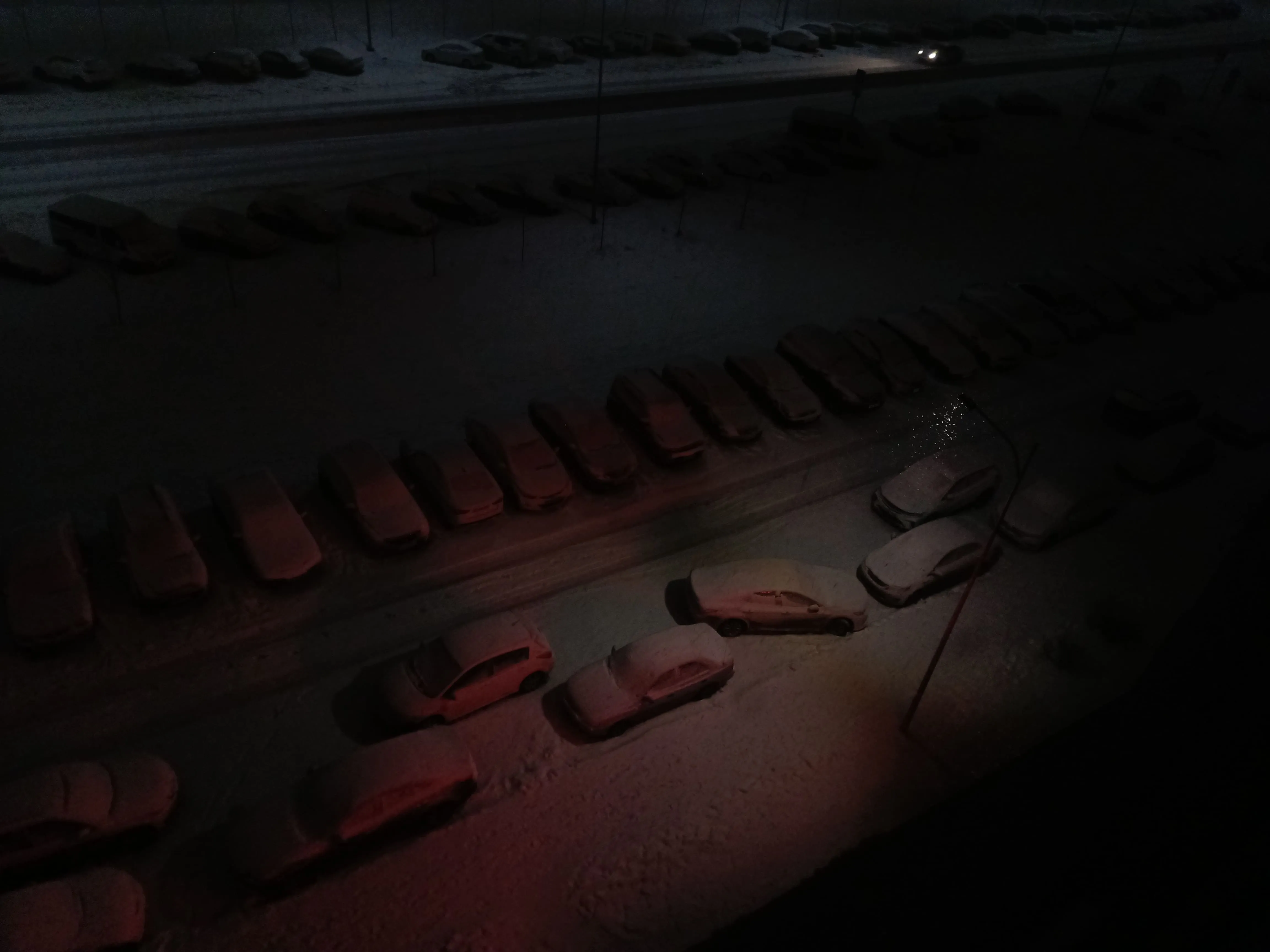 Температурная ночь