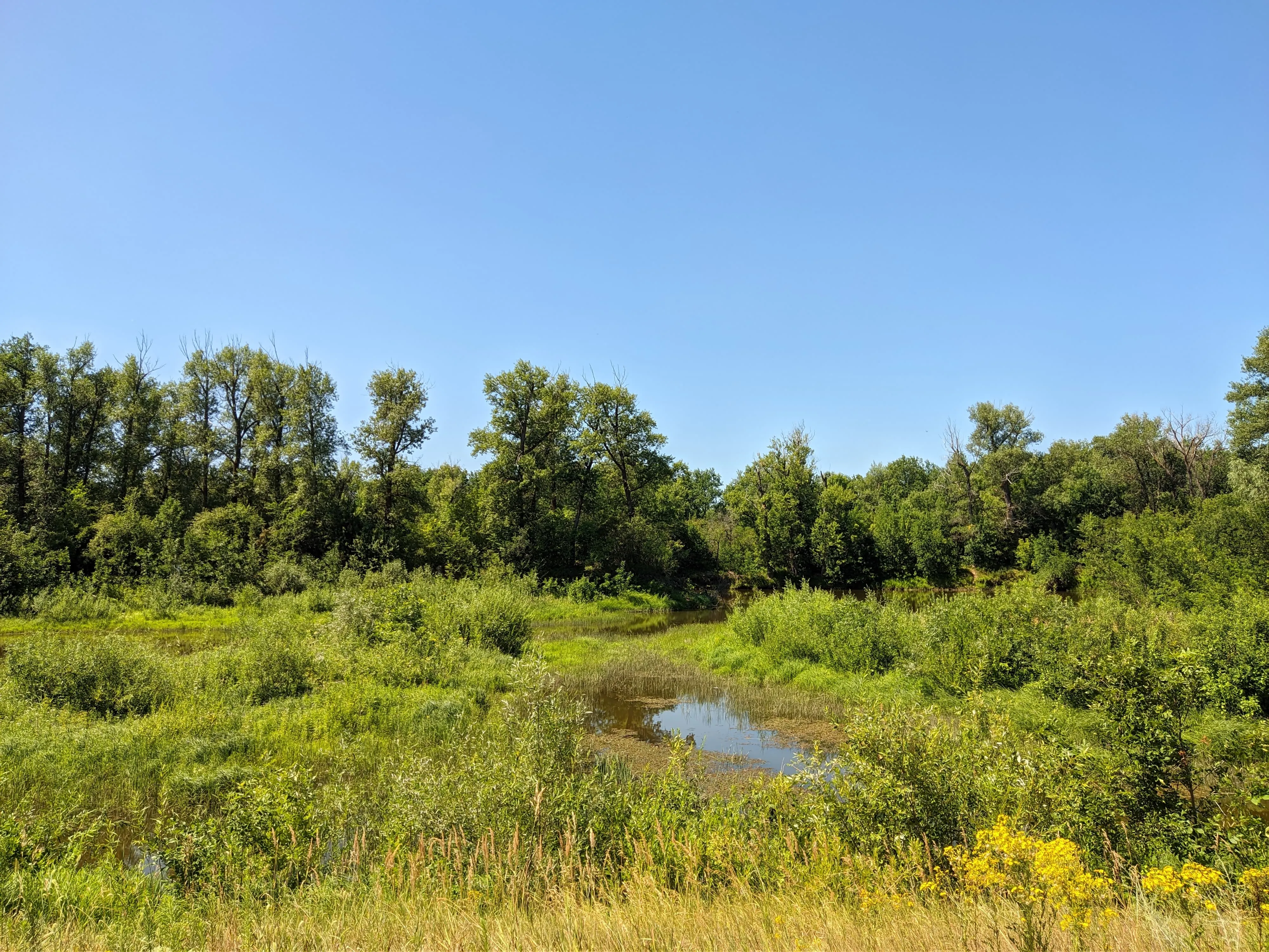 Заливные луга