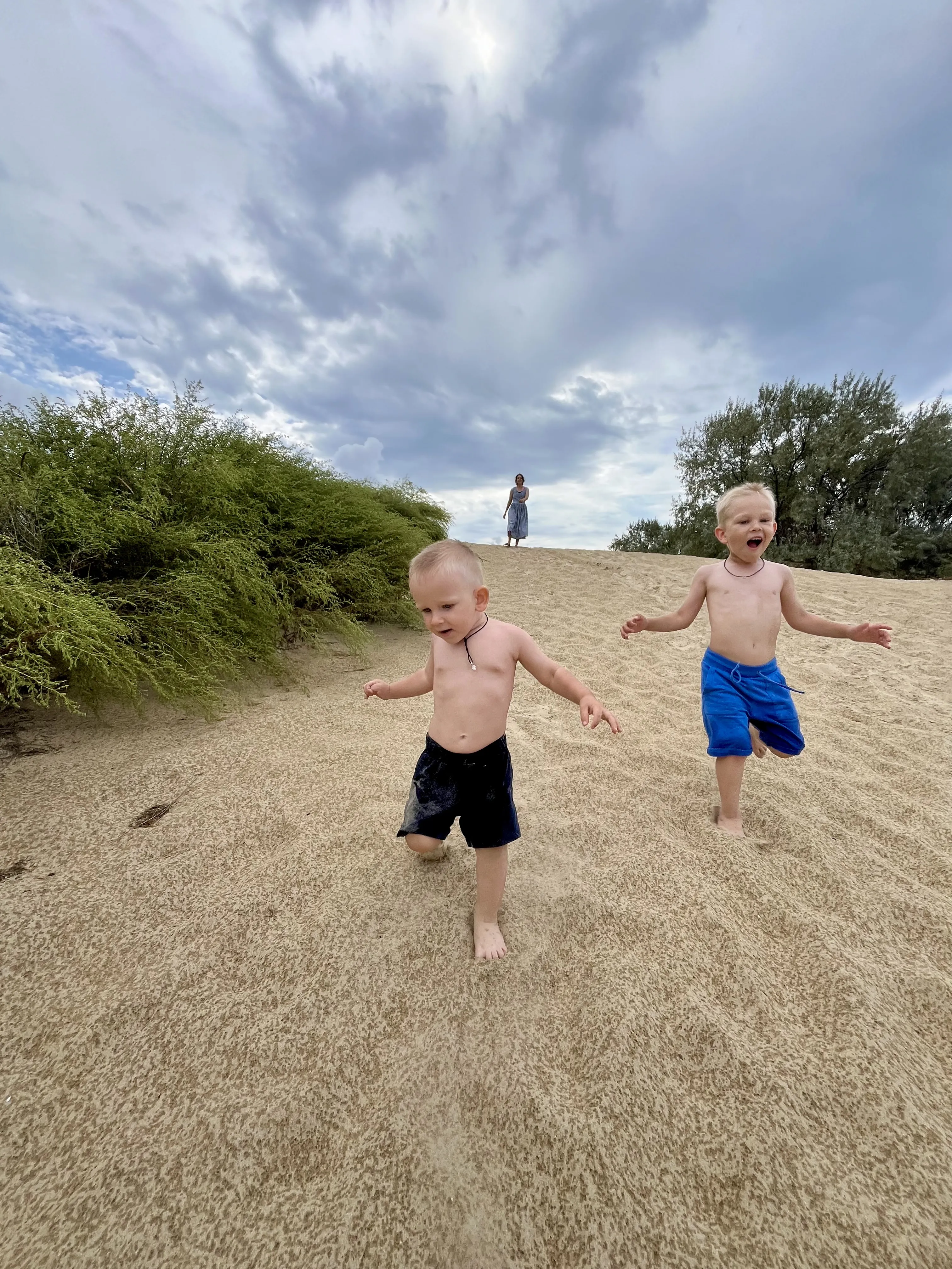 На всех парах