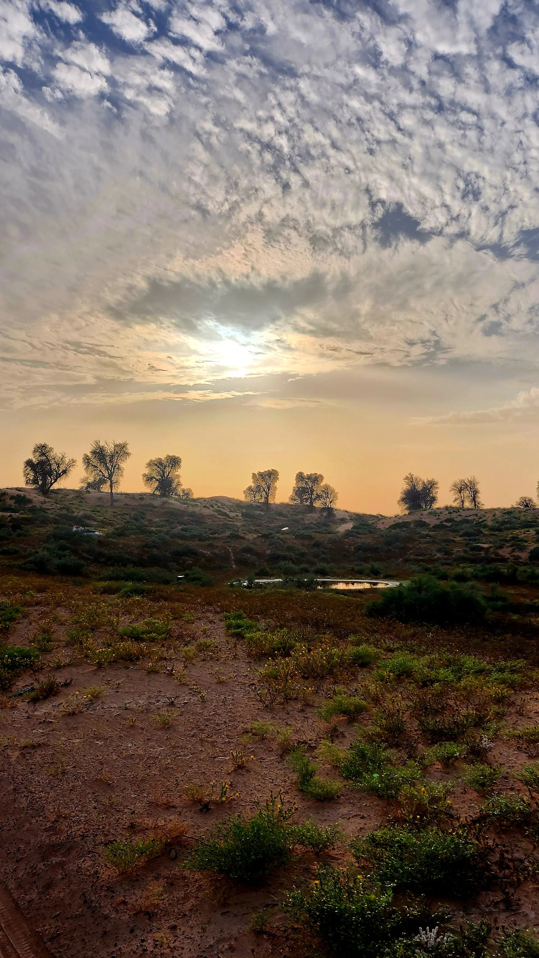 Закат в пустини