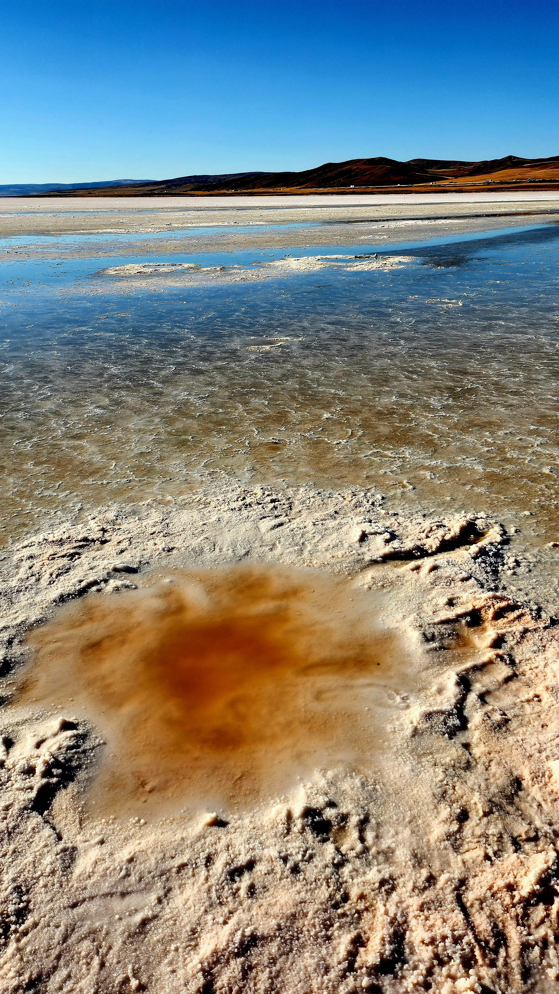 А если на земле Марс?