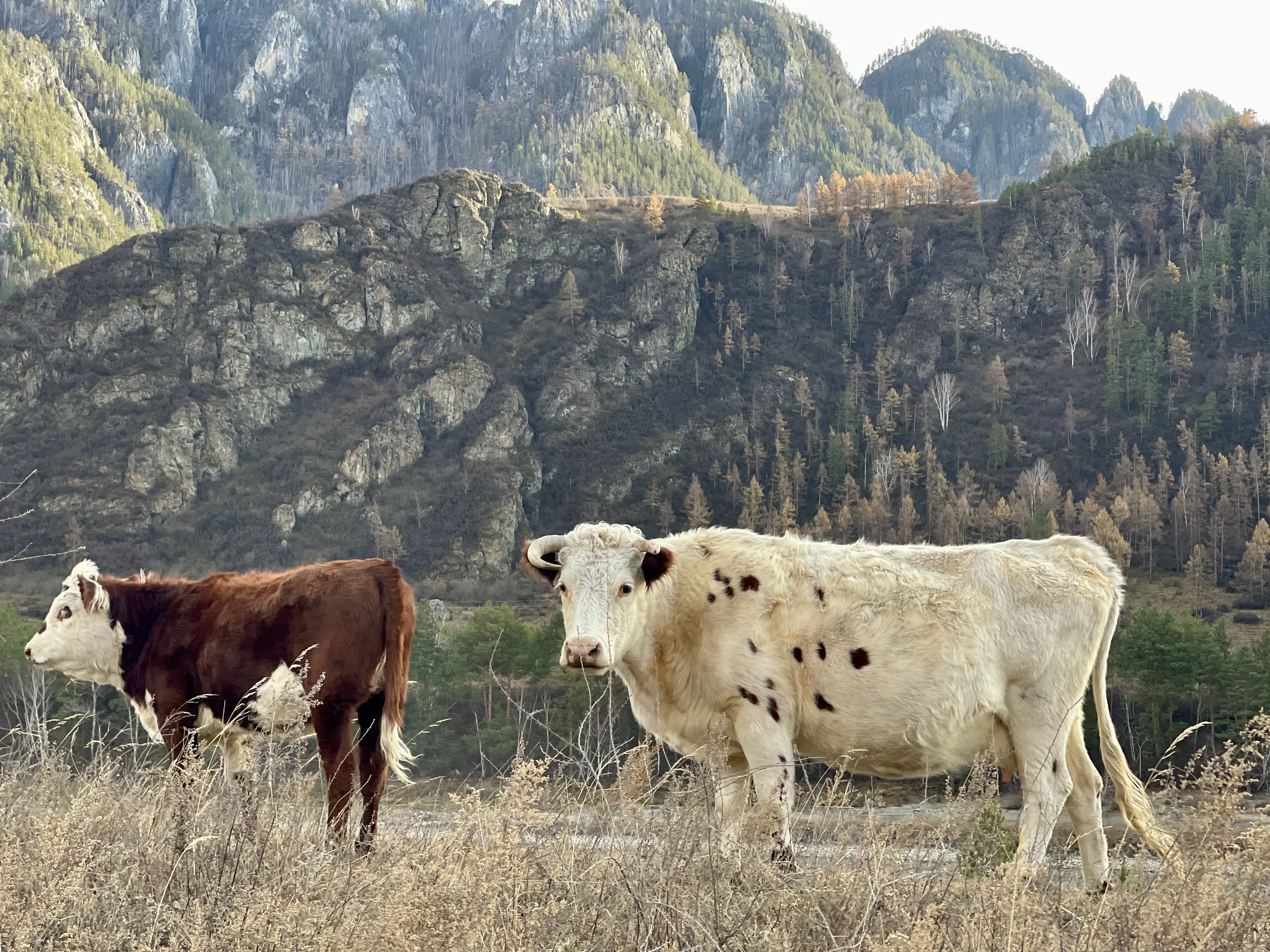 Случайный взгляд