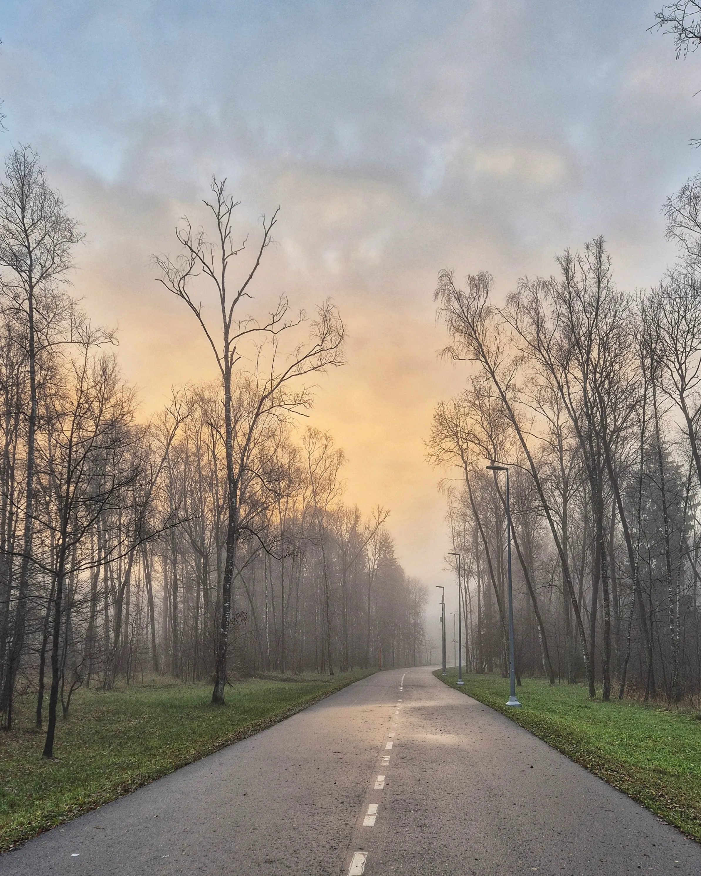Замри и слушай...