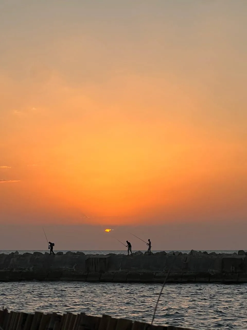 Вечерняя рыбалка