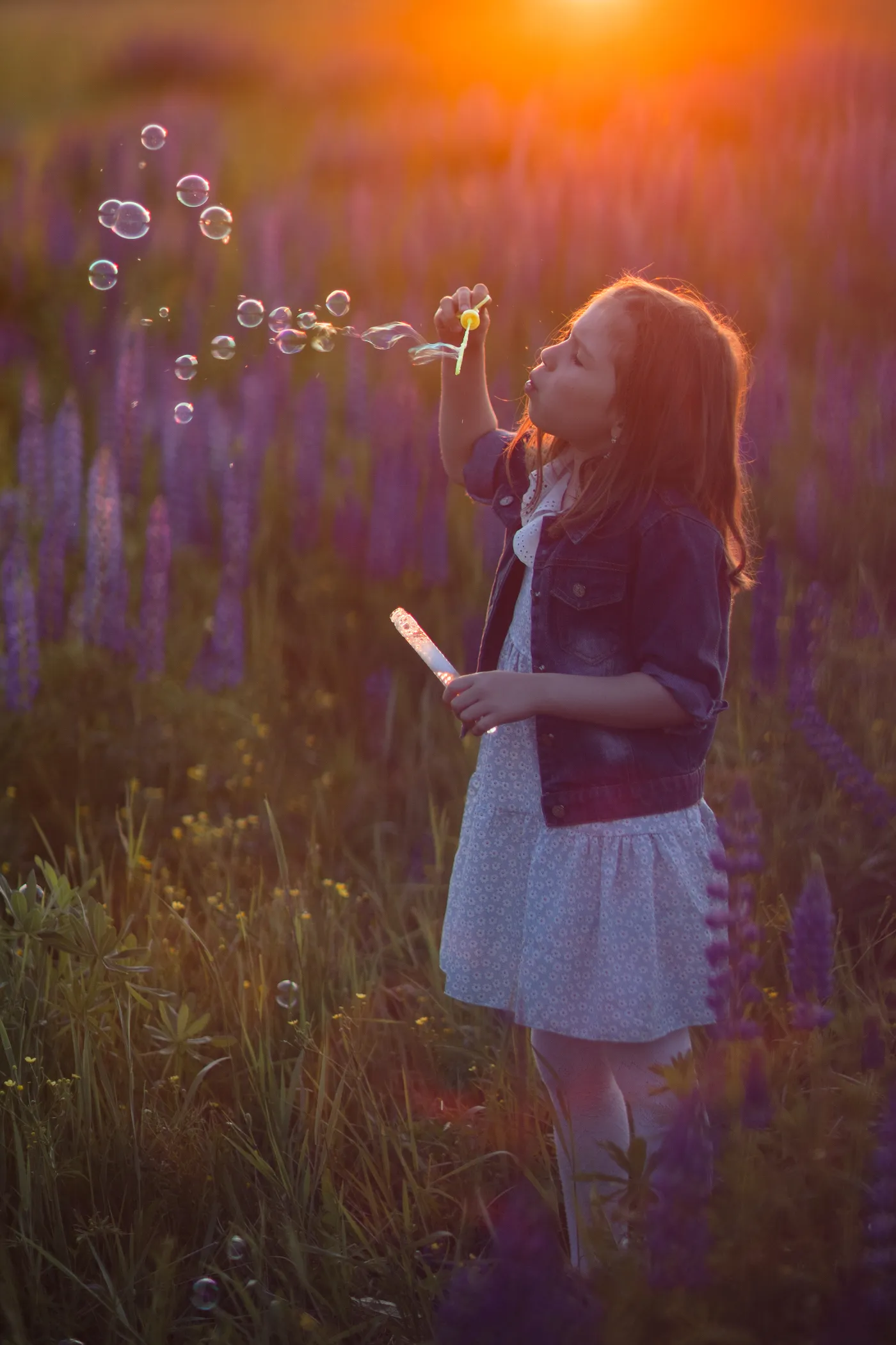 Летний вечер