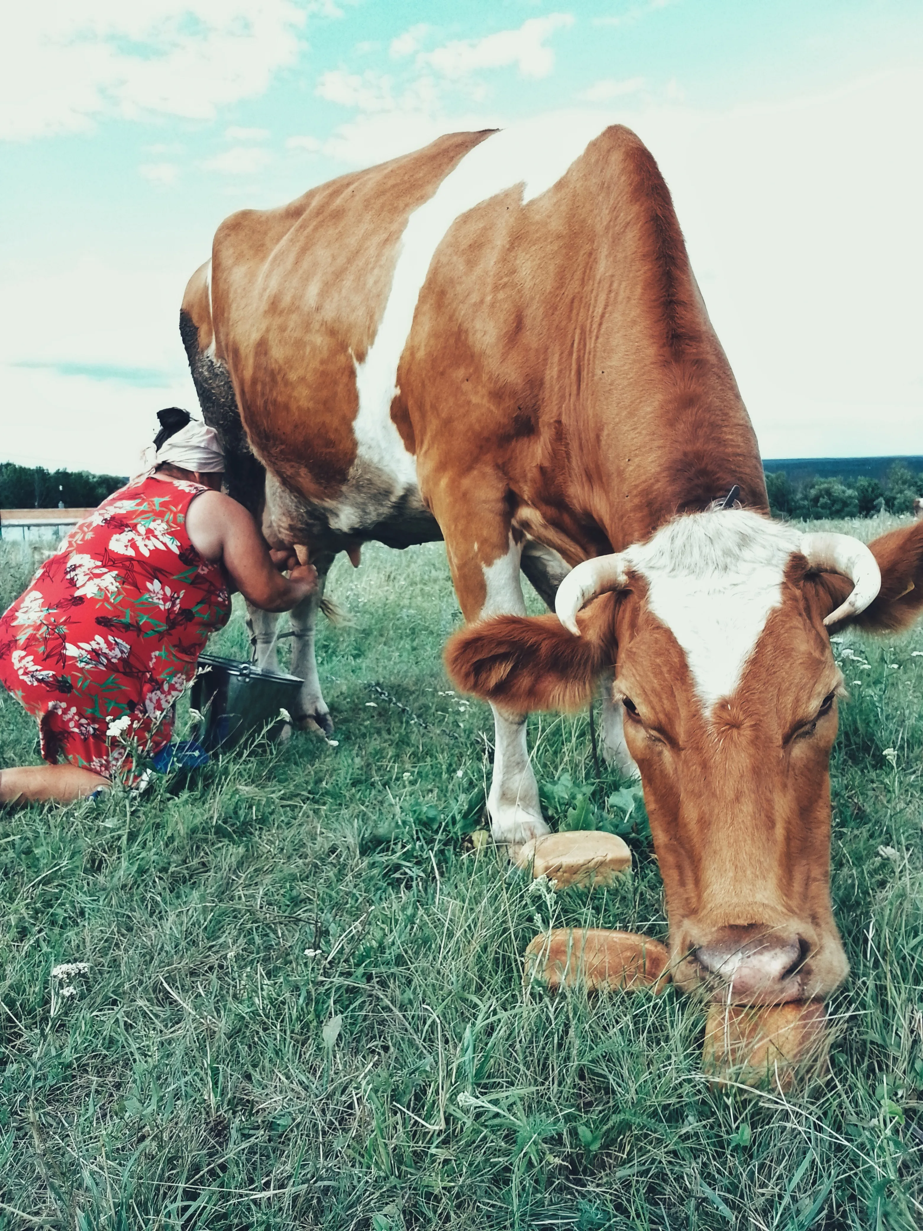 Тетя Наташа и Карамелька