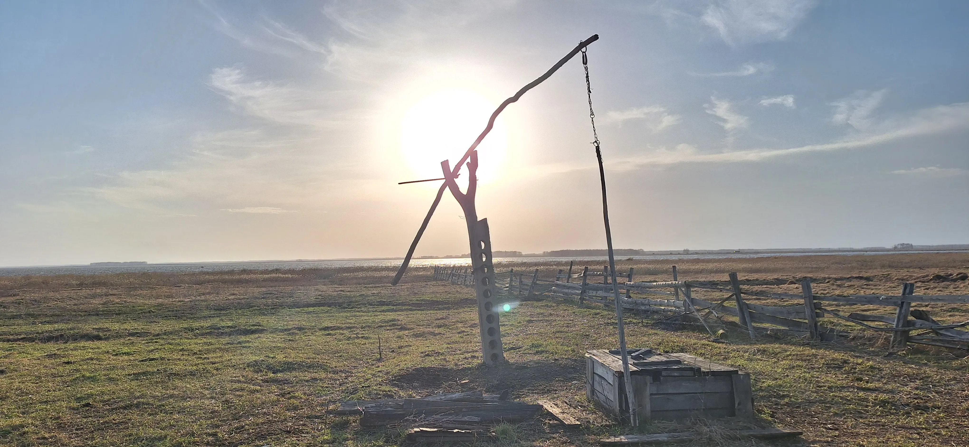 Последний  журавль