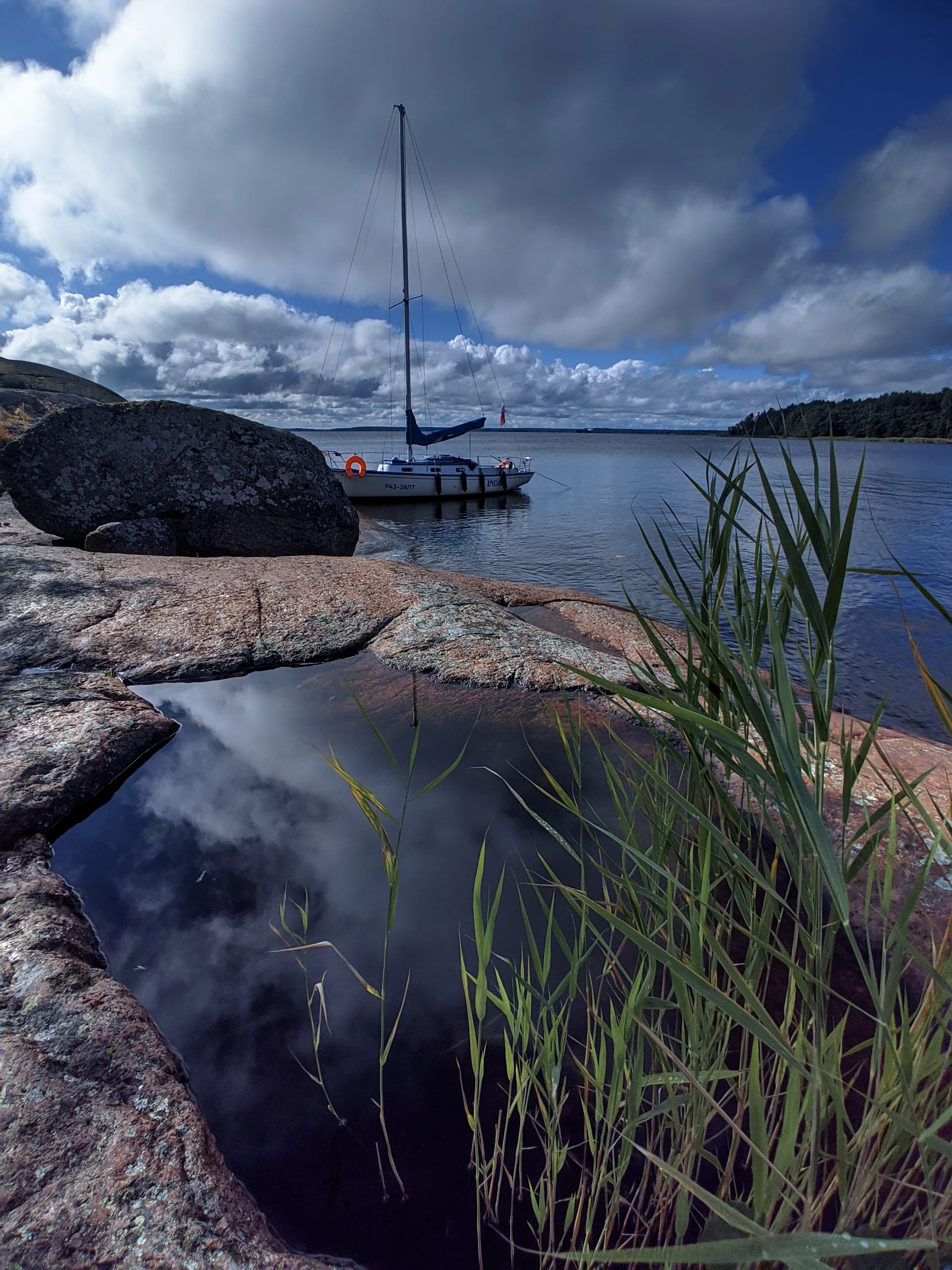 Дверь в лето