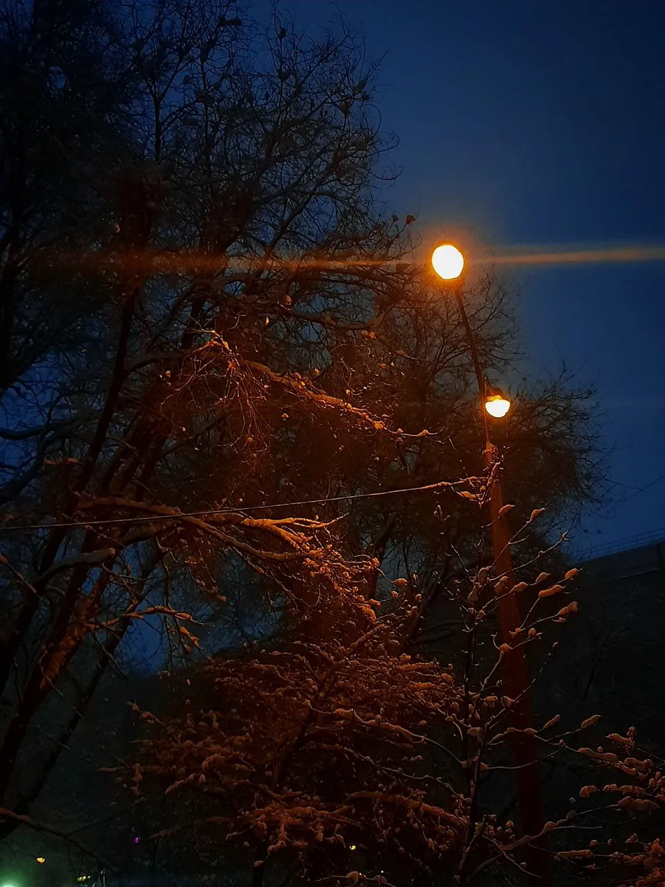 Луч света в тёмном царстве