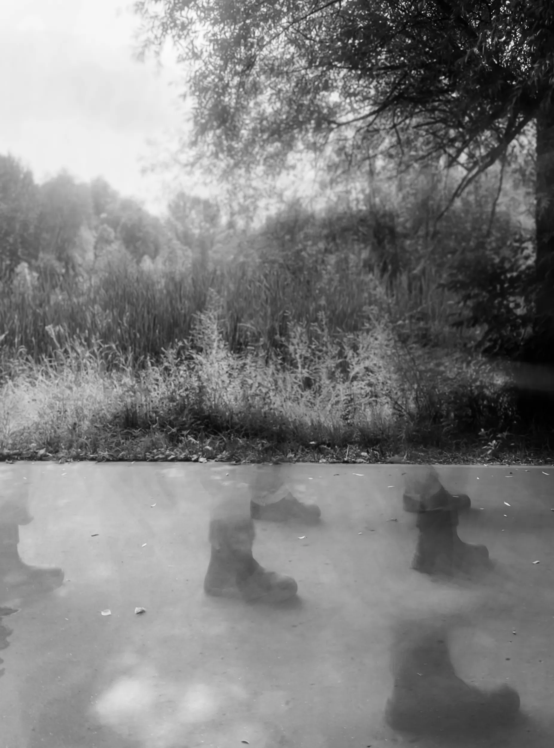 След человека