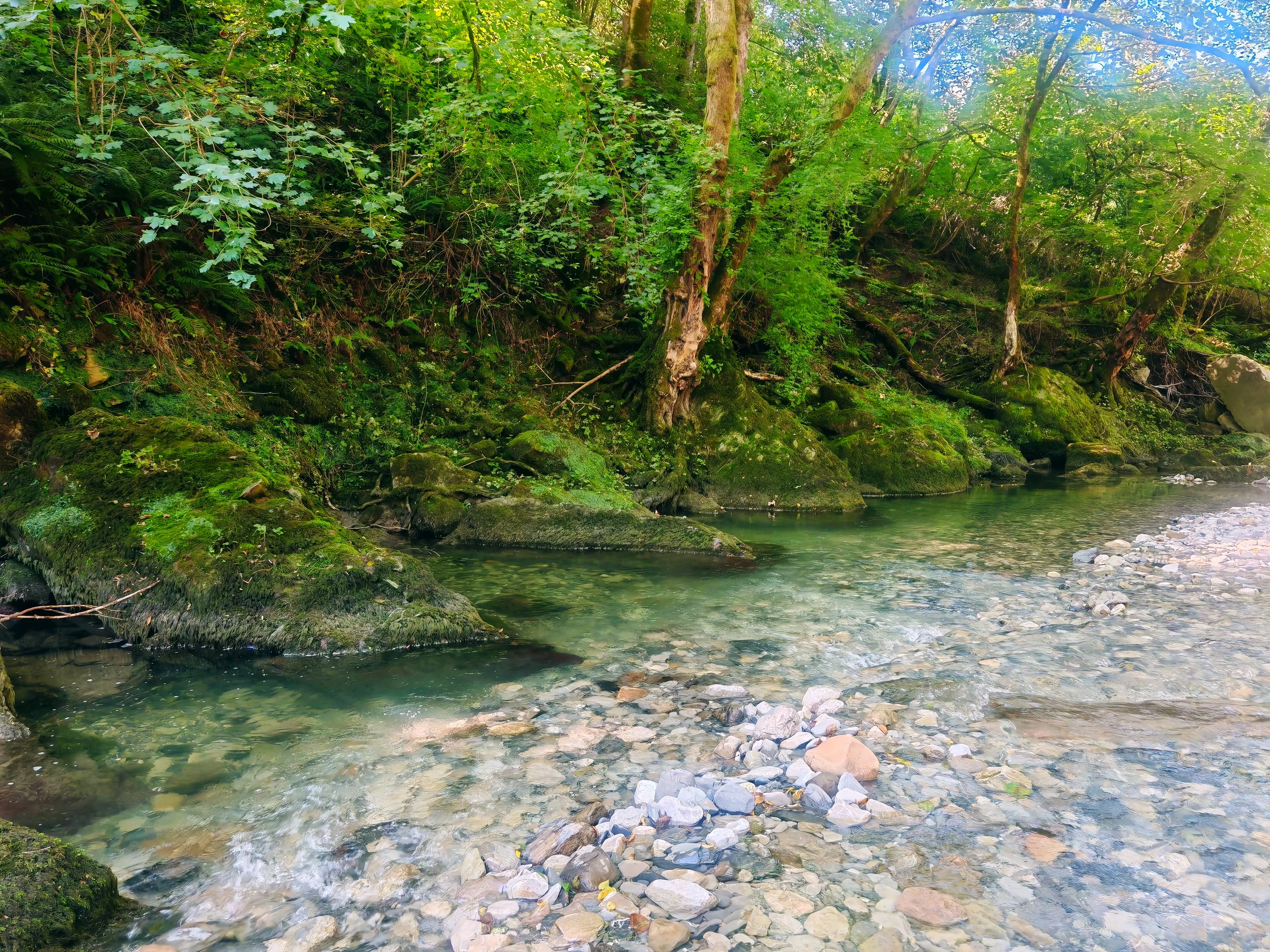 Природа Дагомыса