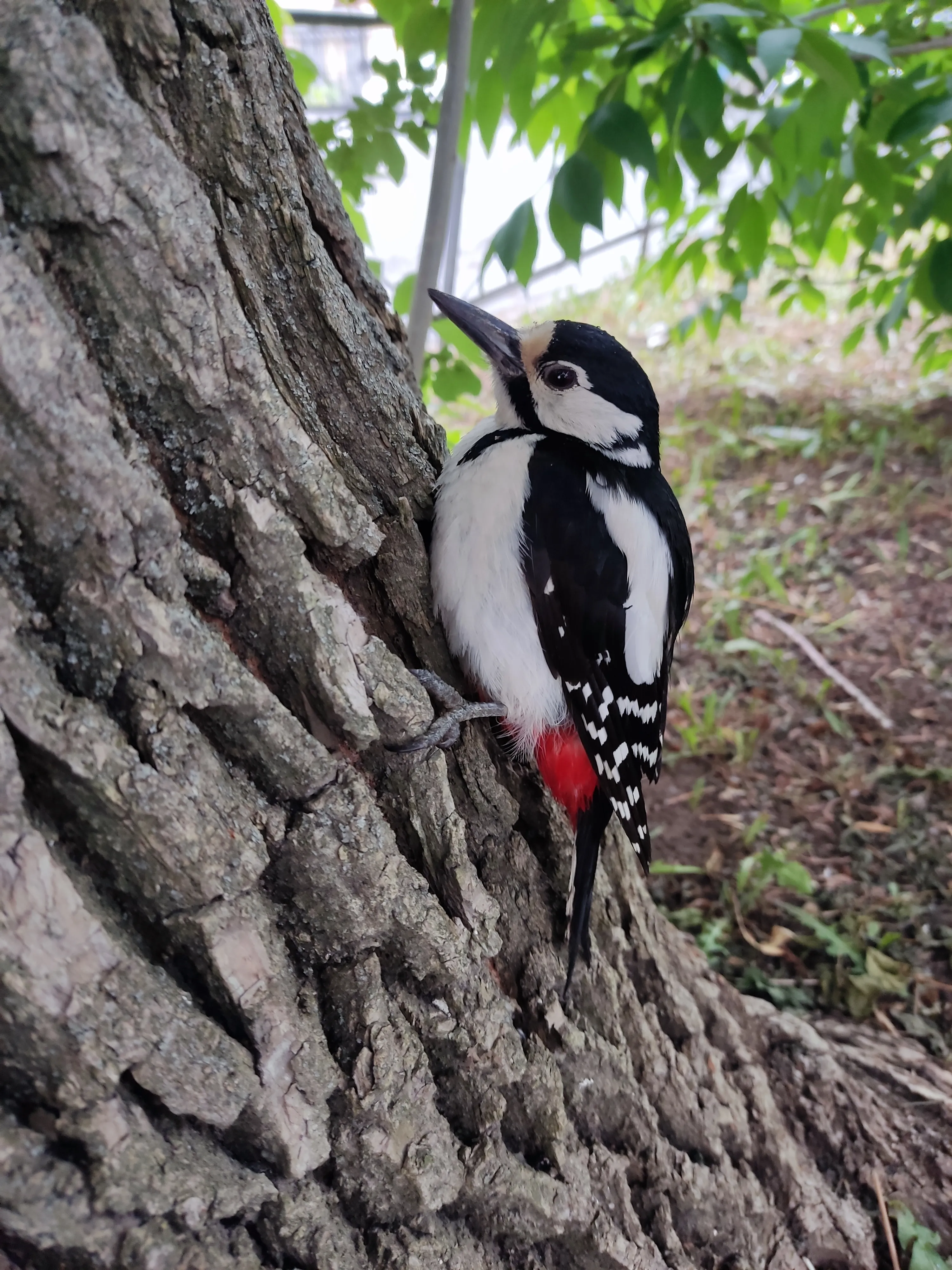 В городской суете...