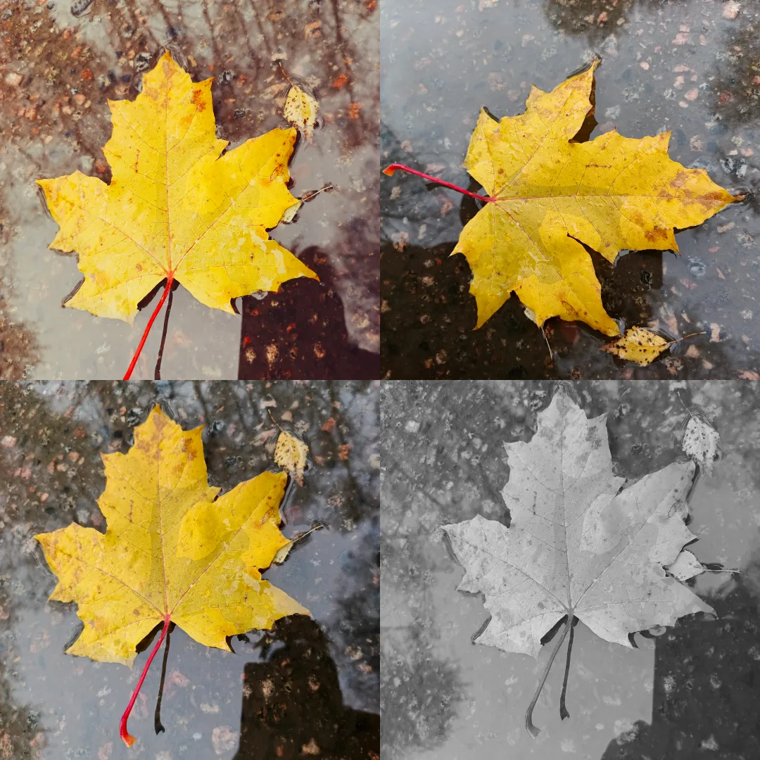 Природа в моем сердце- "кадре"