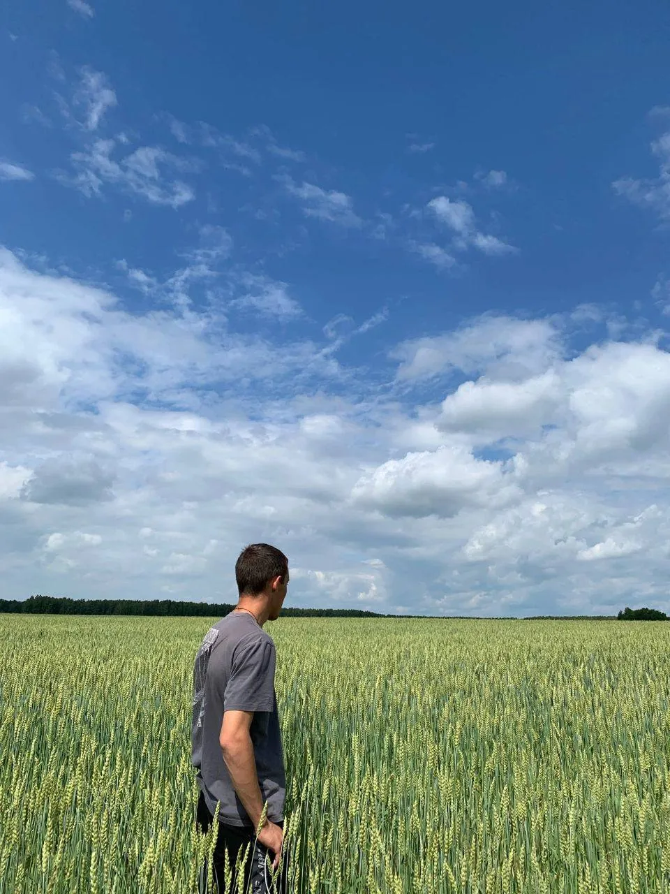 «Поле чудес»