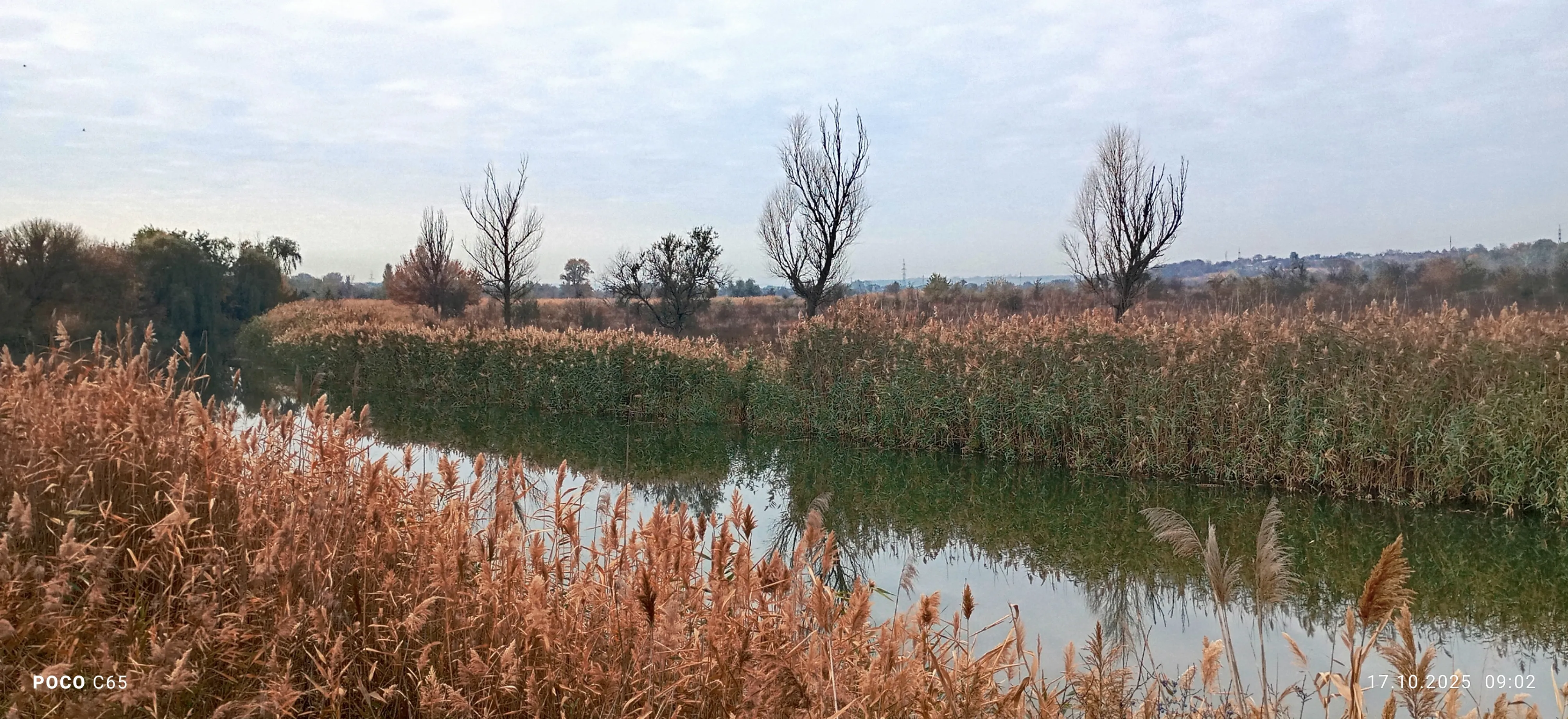 Осень в Новочеркасск