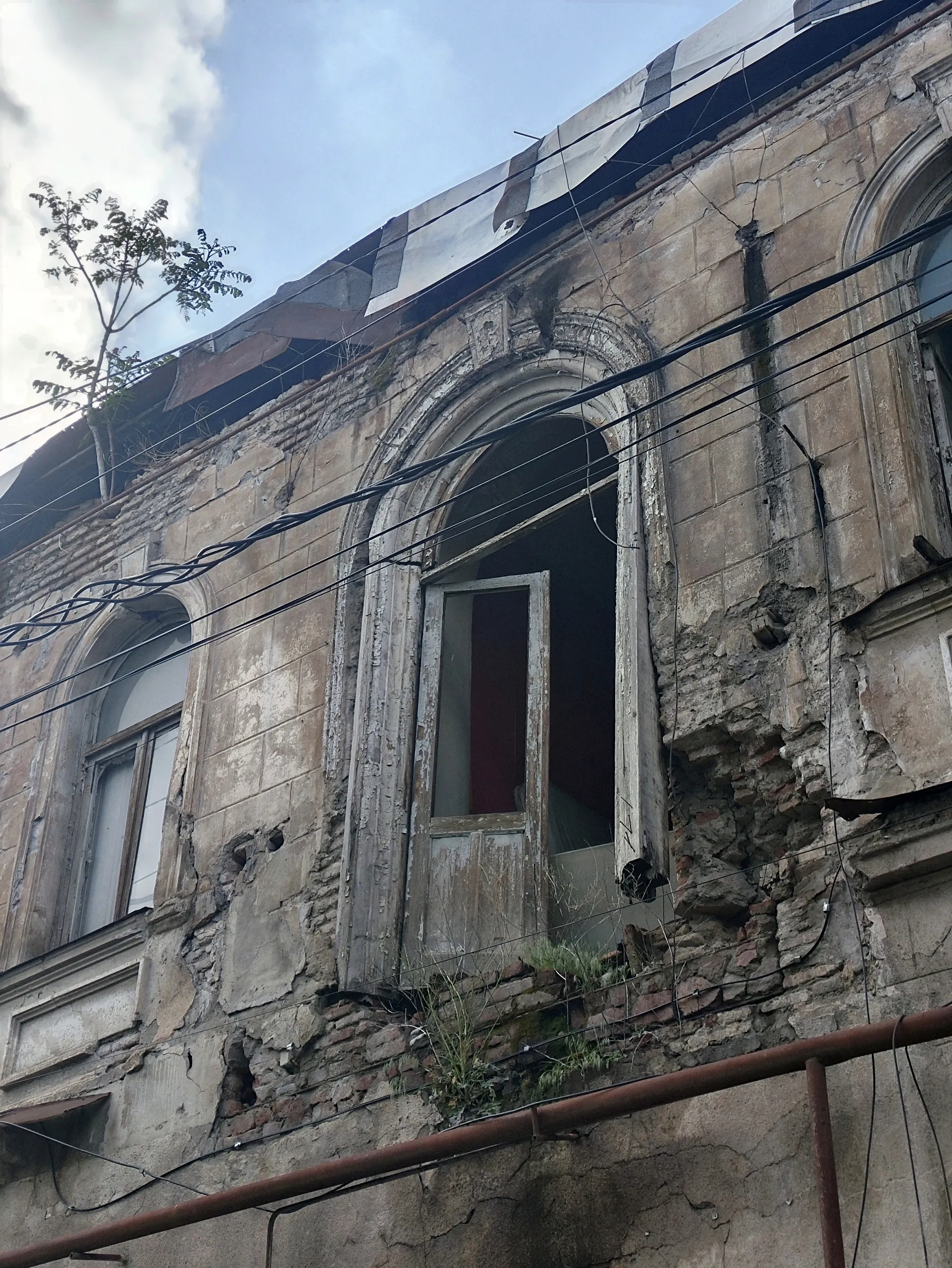 Где кошки выходили на балкон