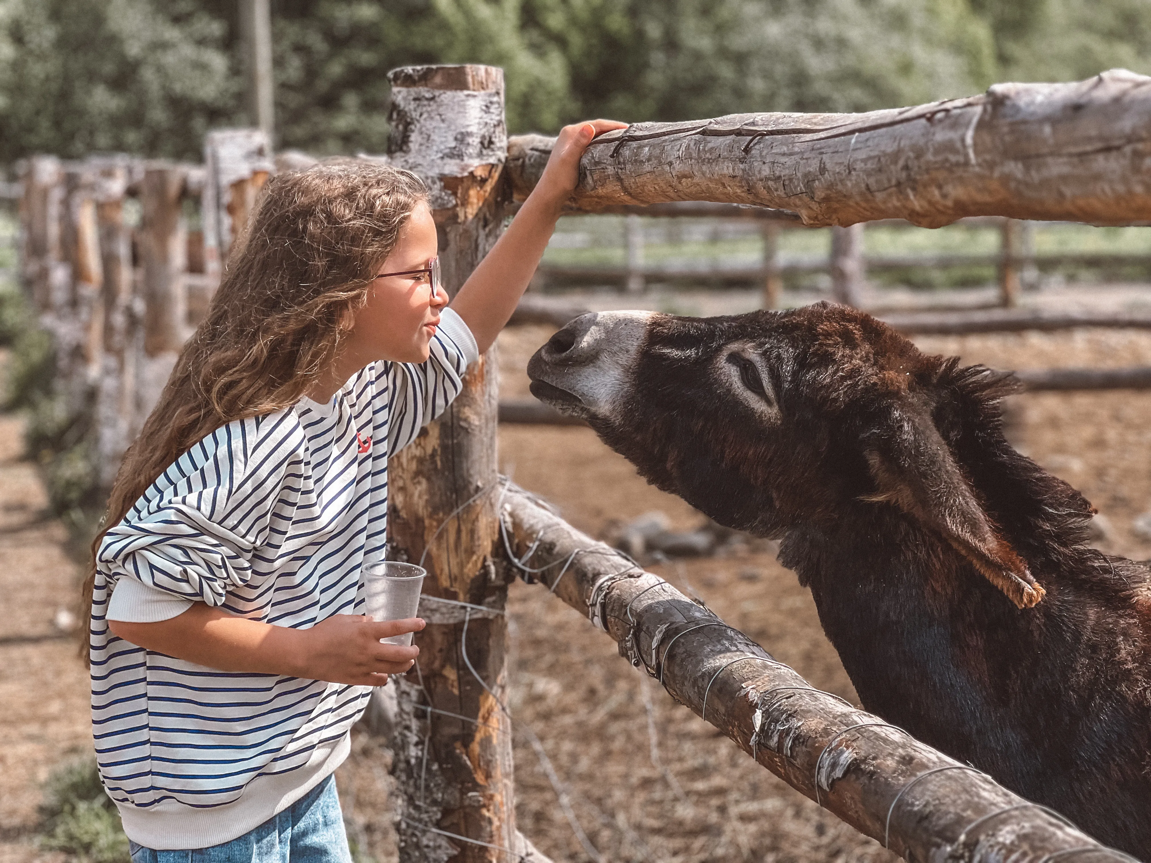 С первой улыбки, с первого взгляда.
