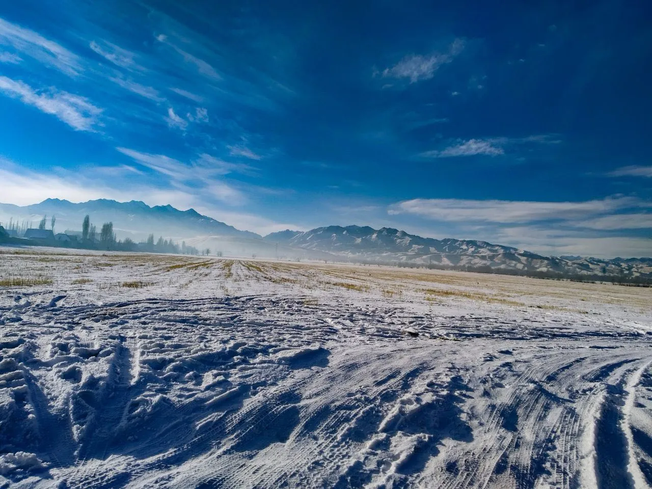 «Мгновение ясности»