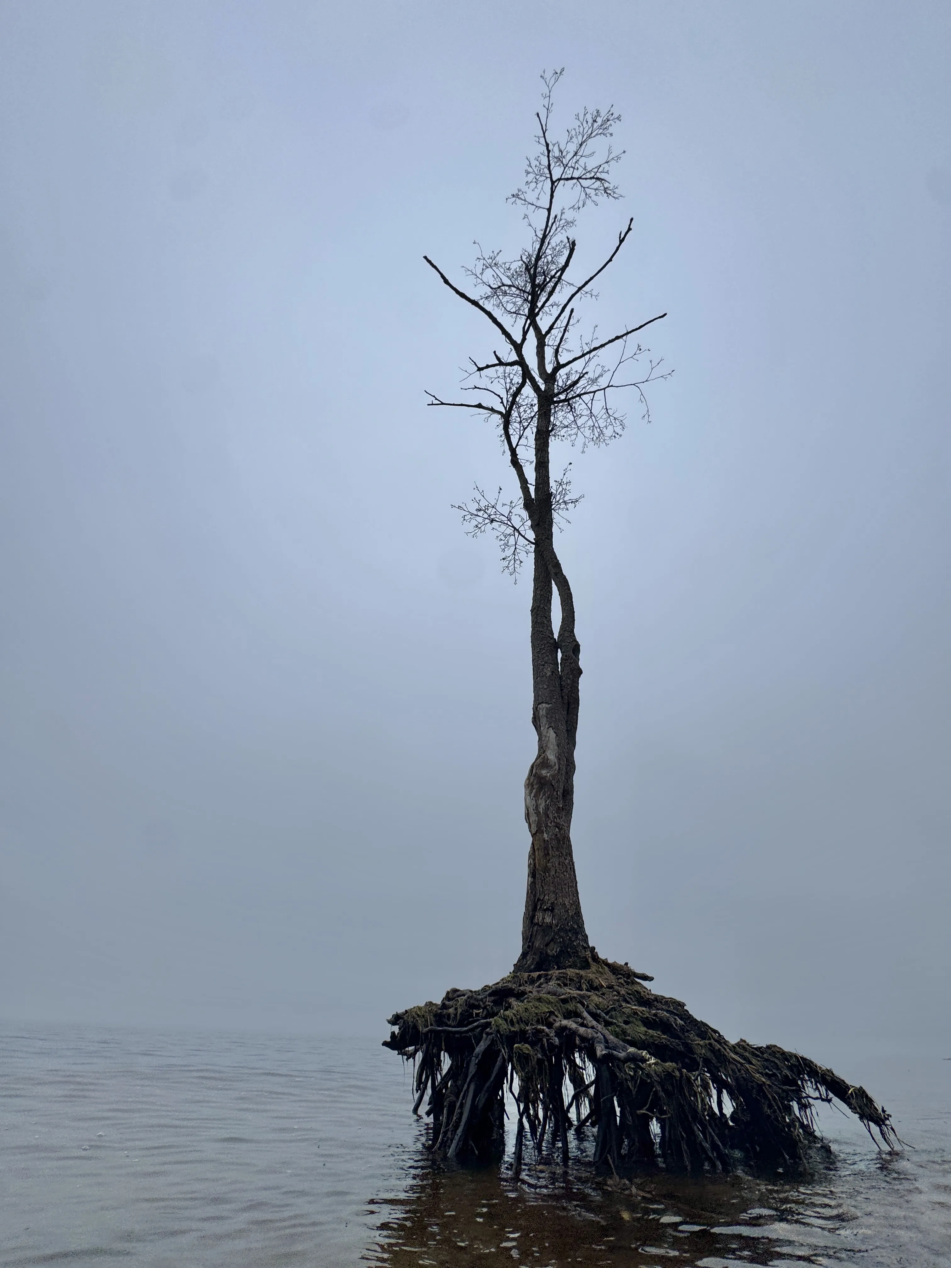 Шаг в безмятежность