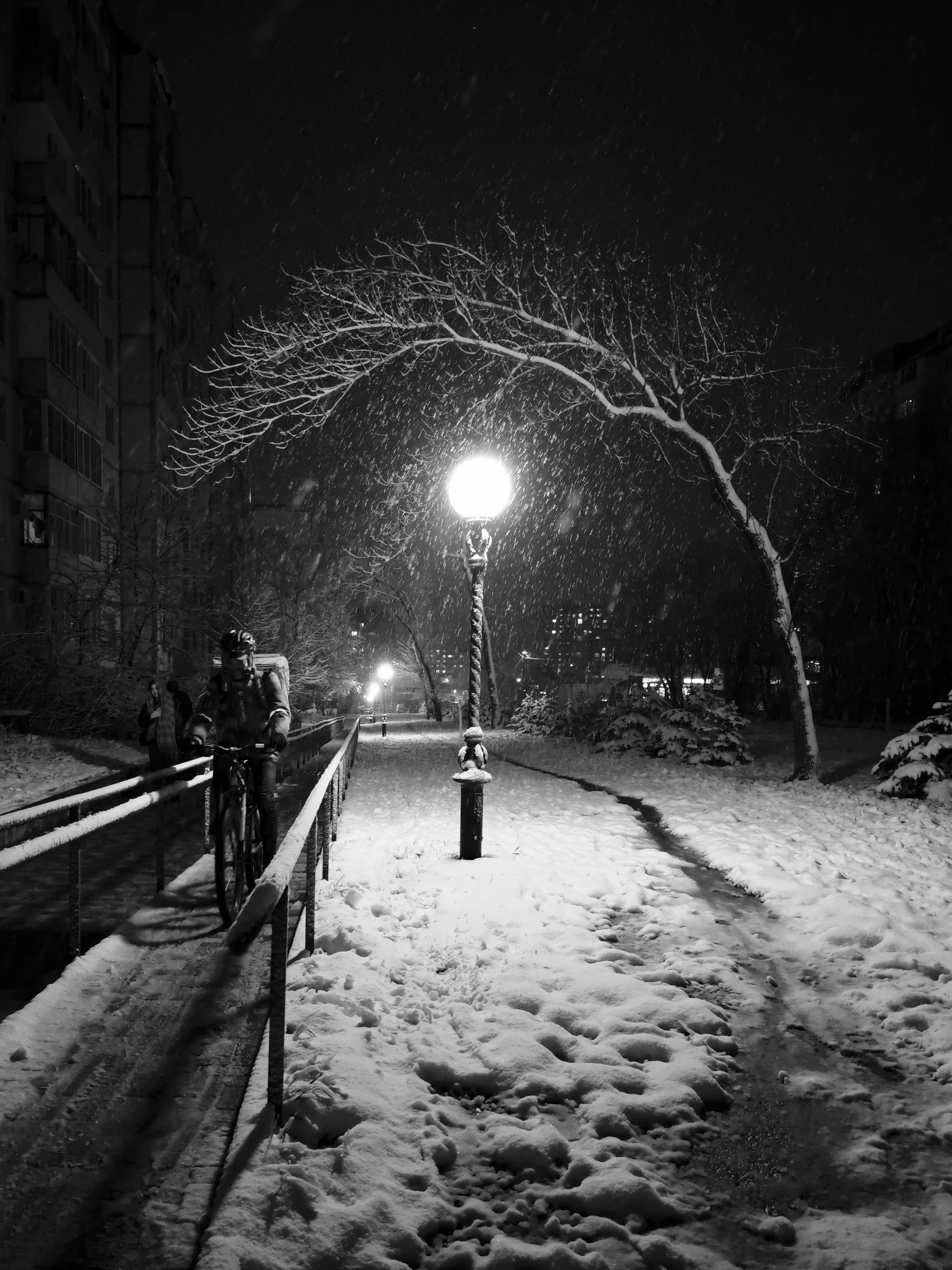 Курьер в зимнем пейзаже