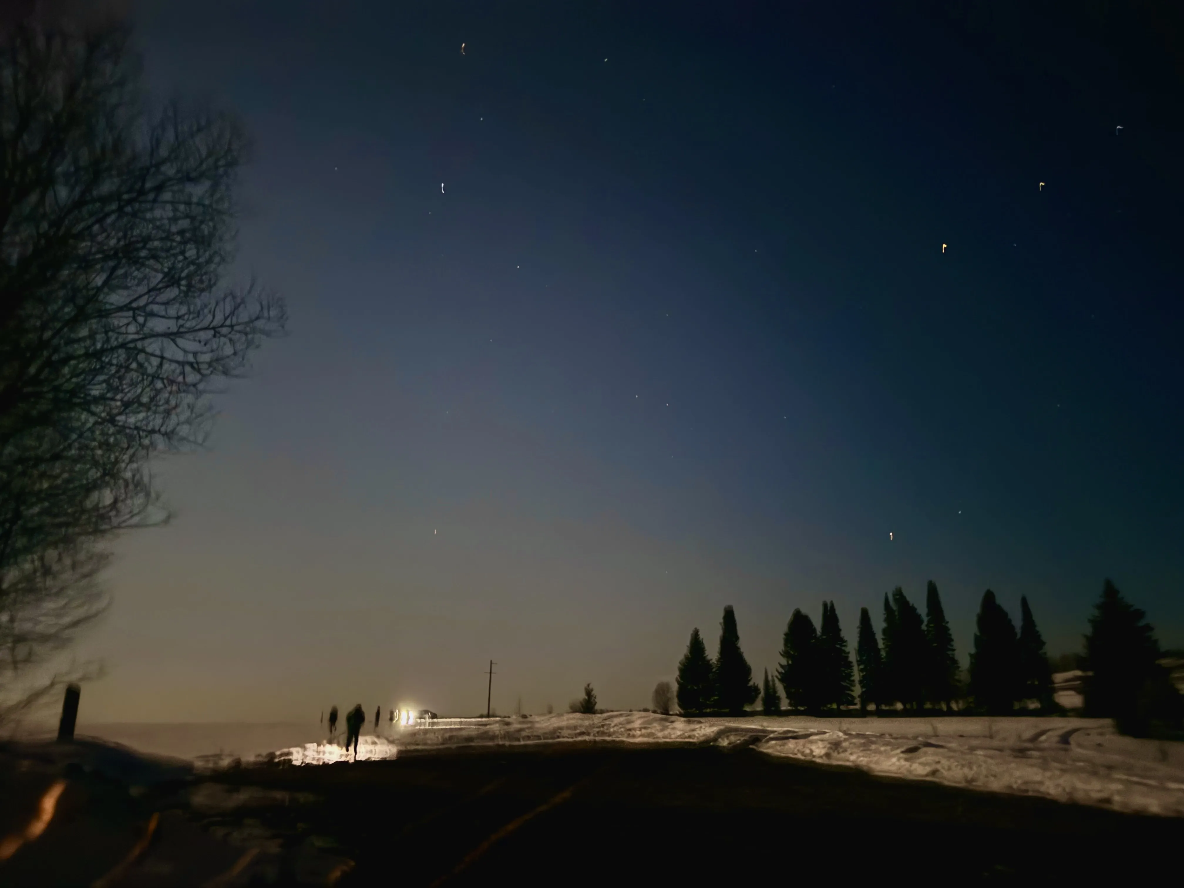 Прогулка с друзьями