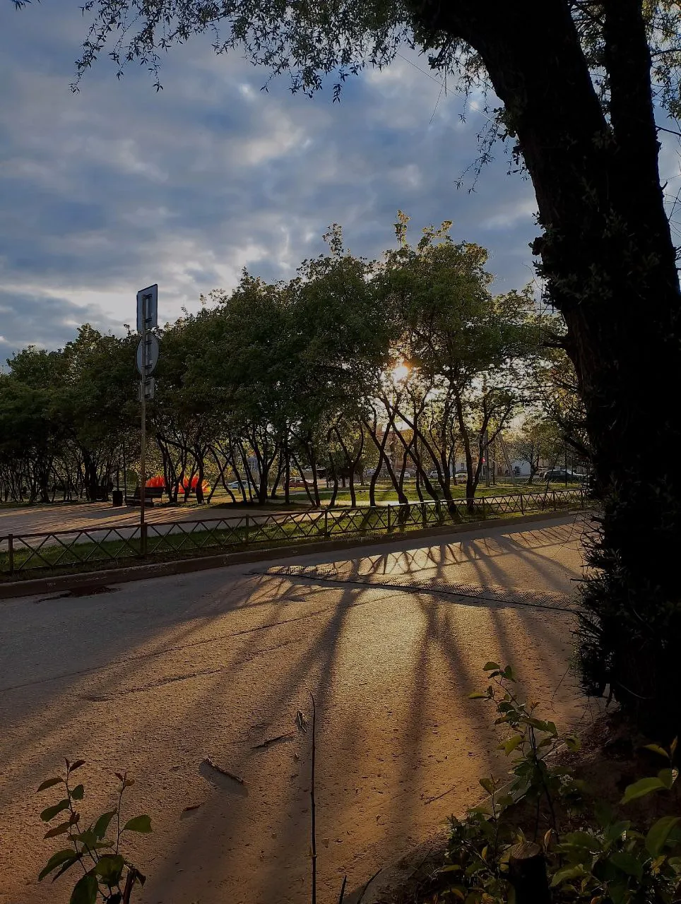 Яркие моменты повседневности