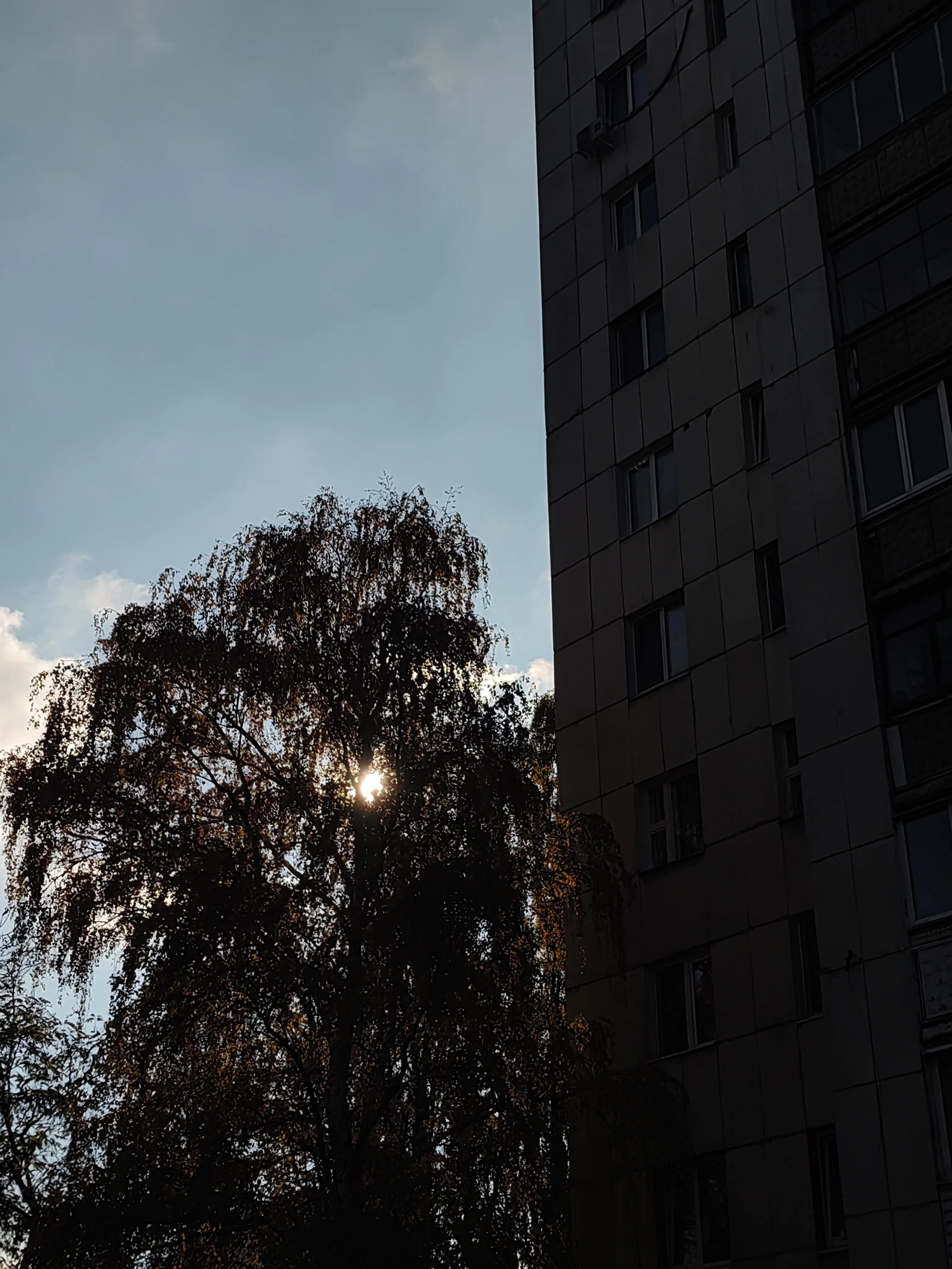 Повседневный снимок