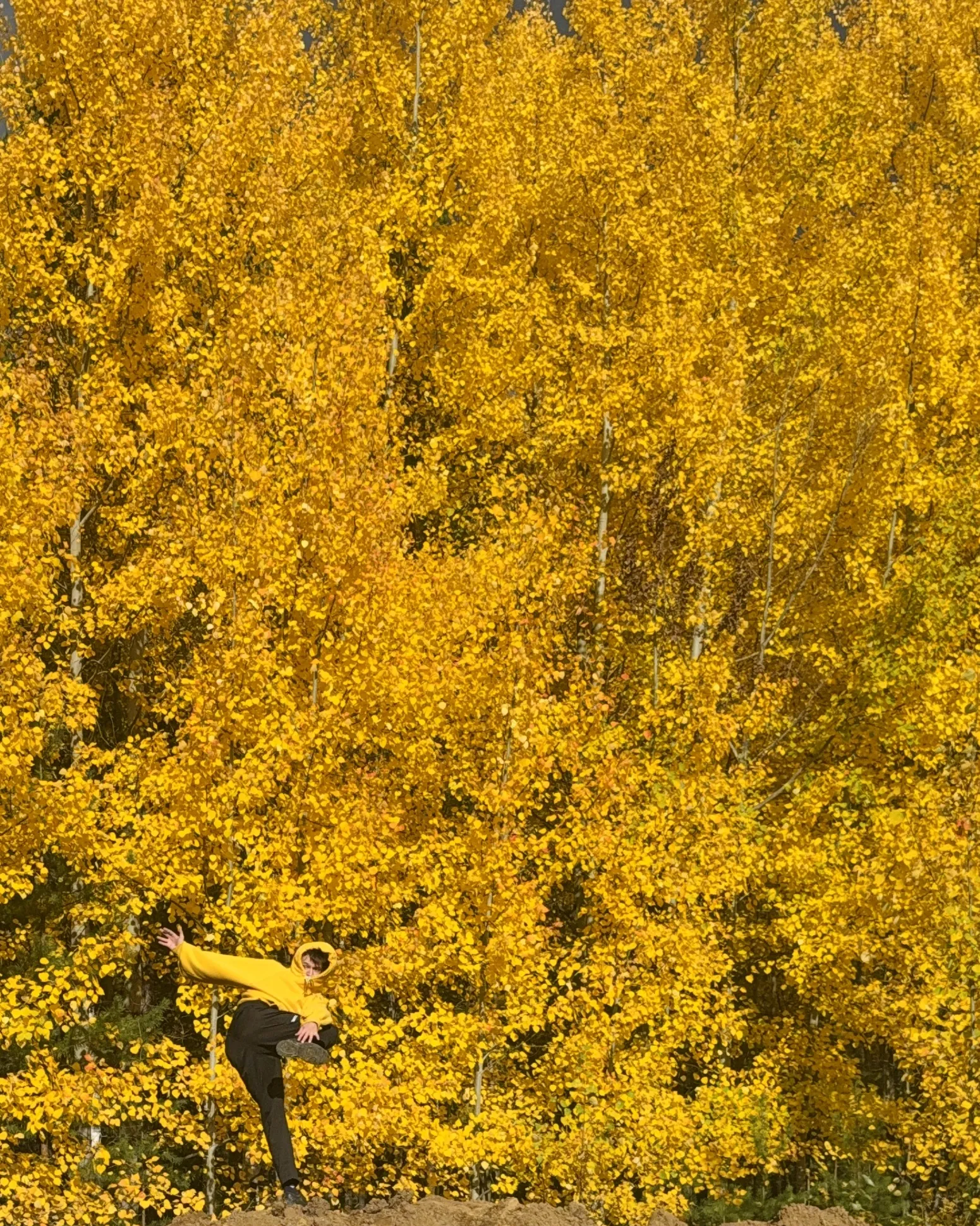 «Там, где живёт сейчас»