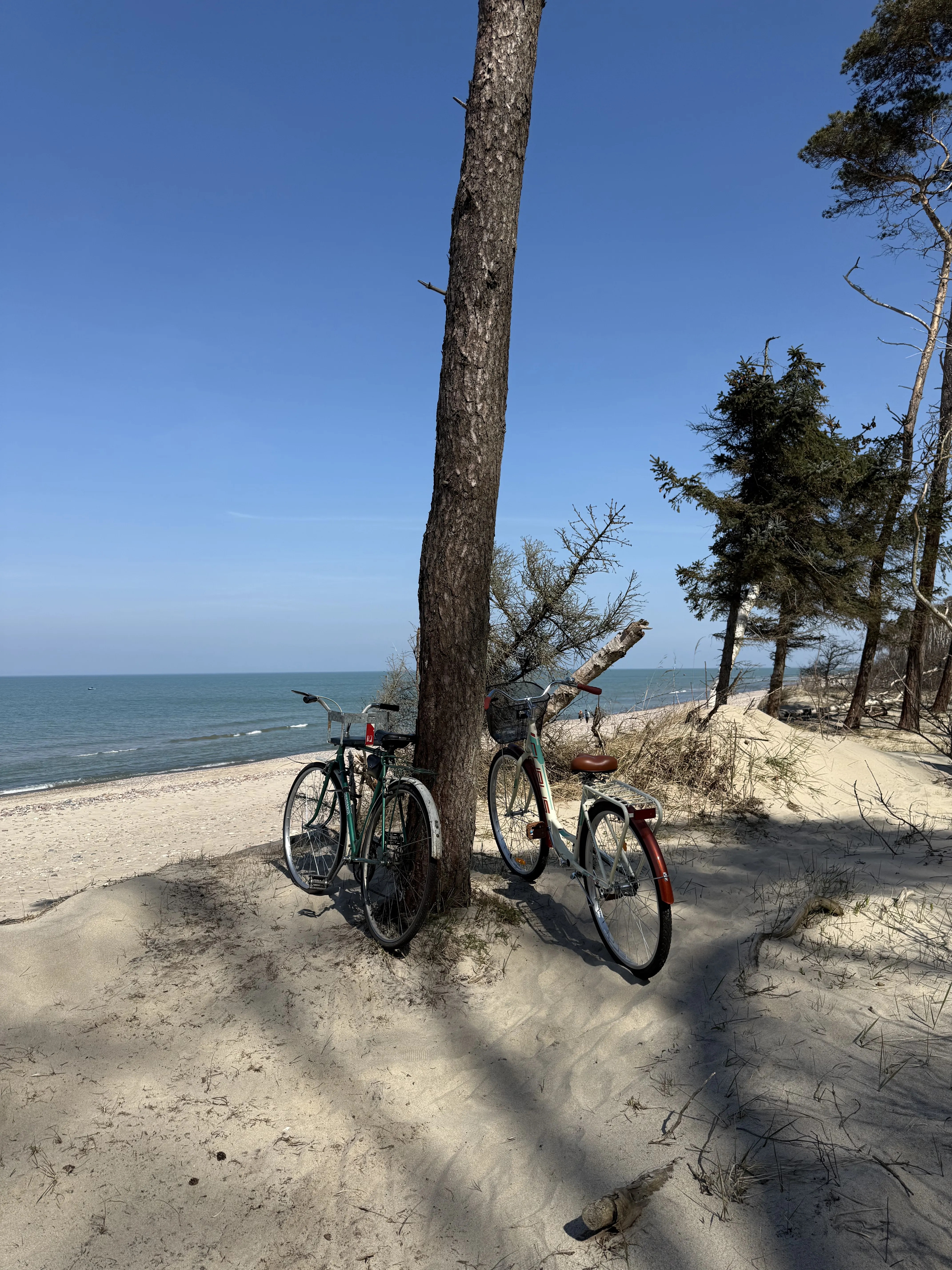 Счастливые часов не наблюдали, а два коня железных их тихо, мирно ждали