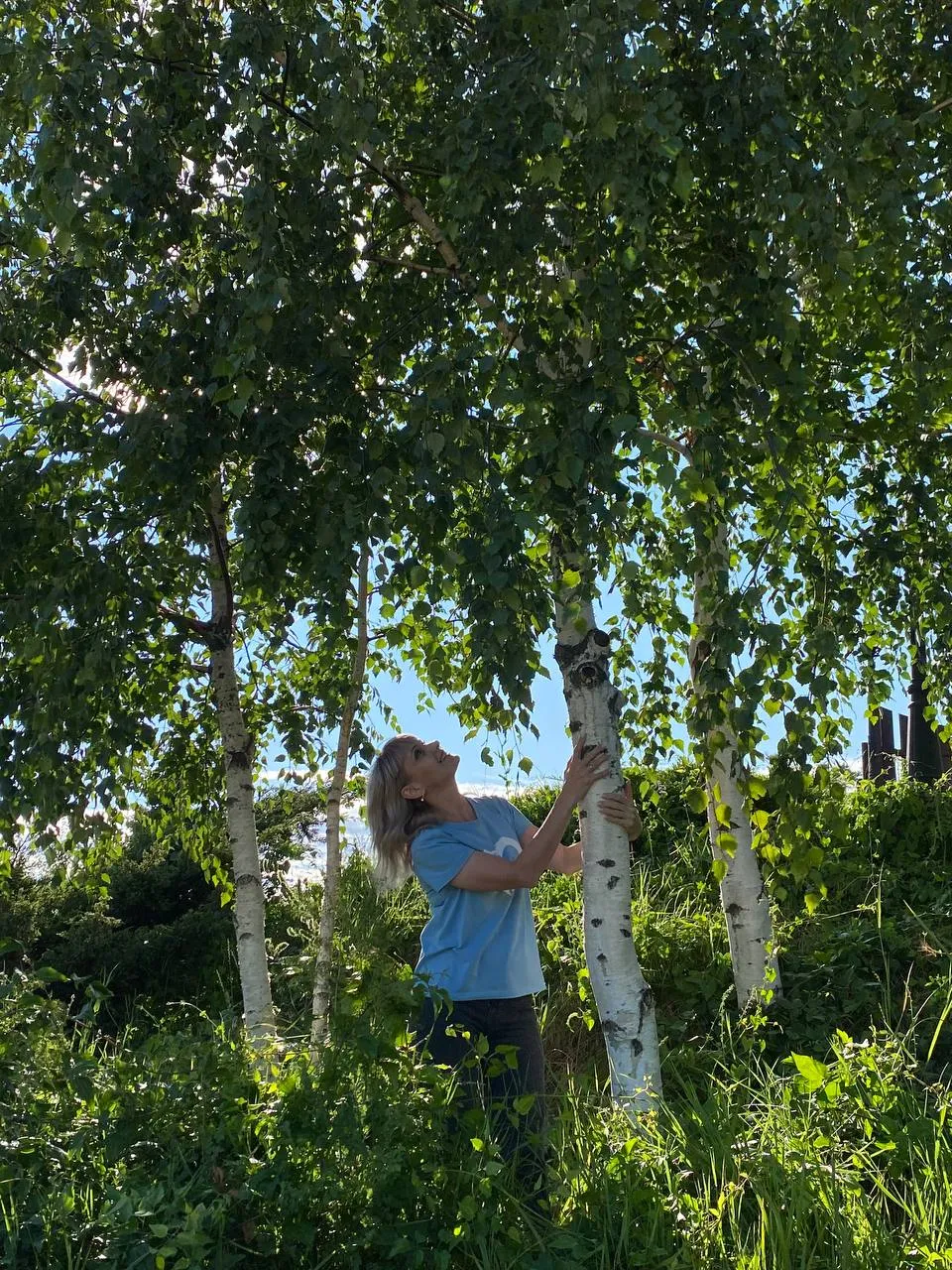 "В объятиях берëзок"