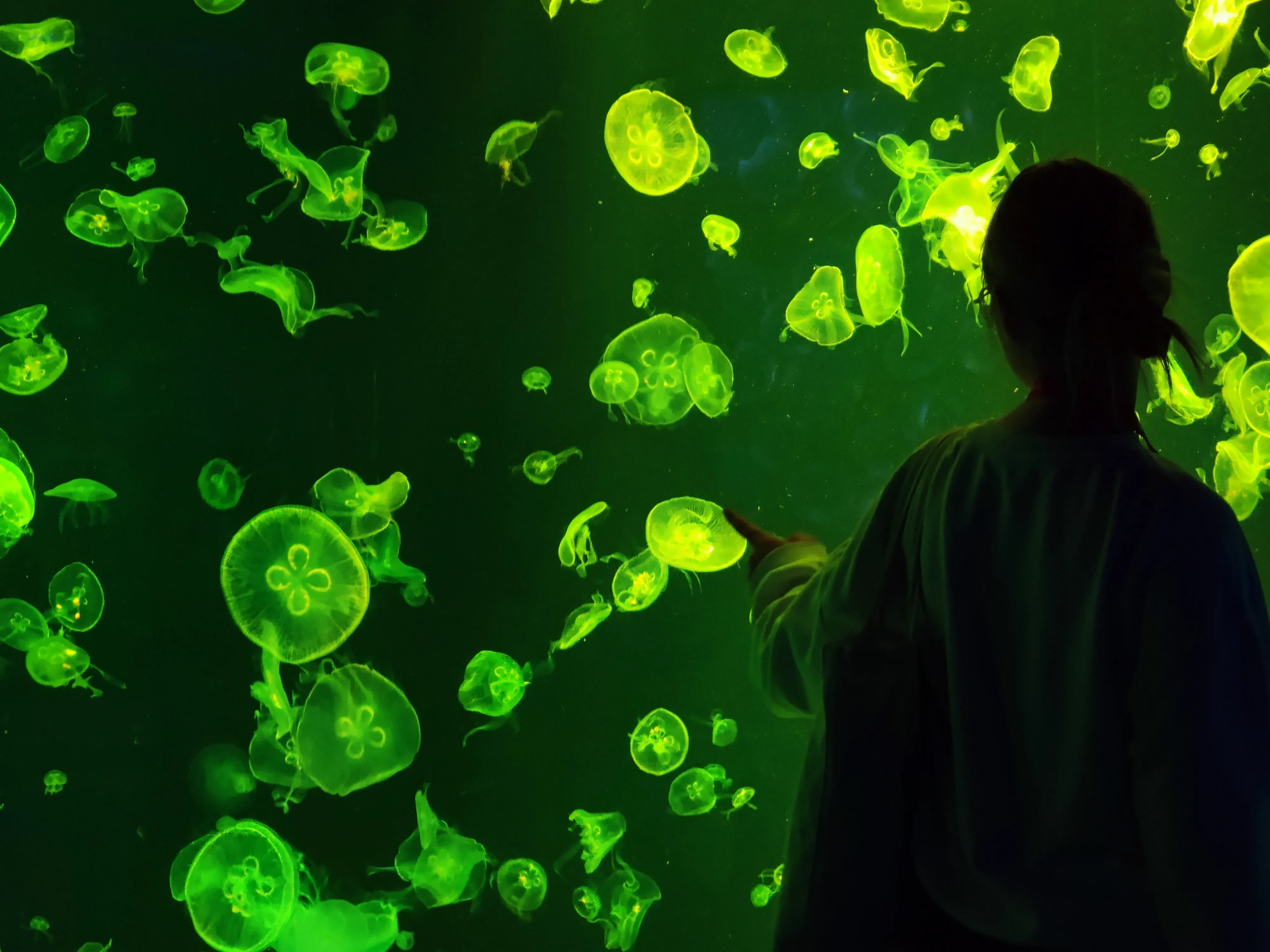 Между двух миров