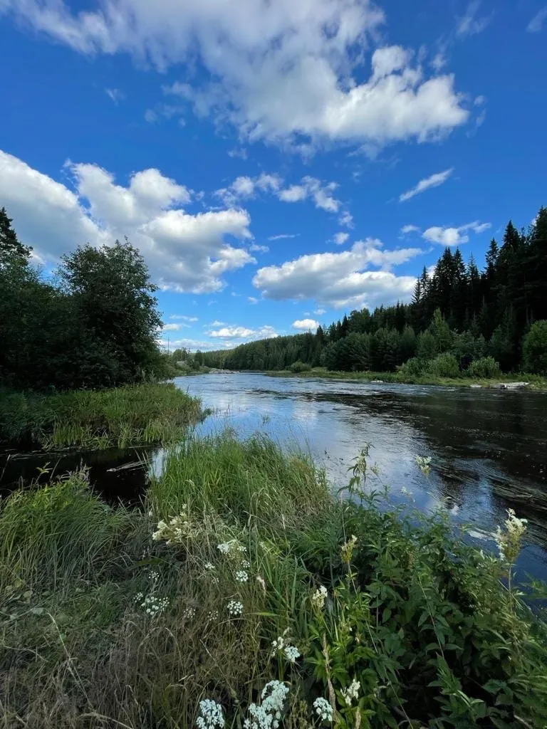 Уральский край, души цветок