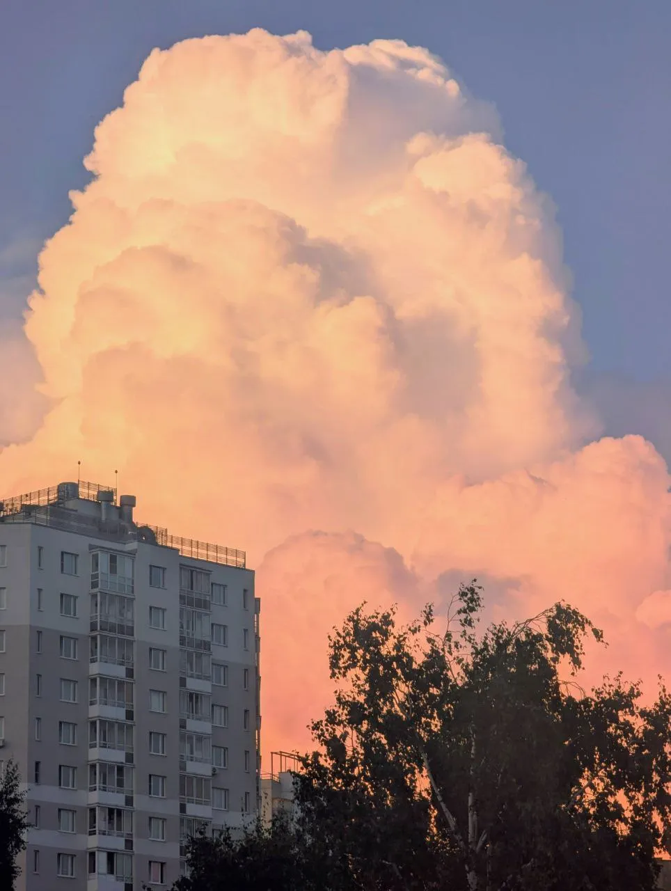 Там на небе богам