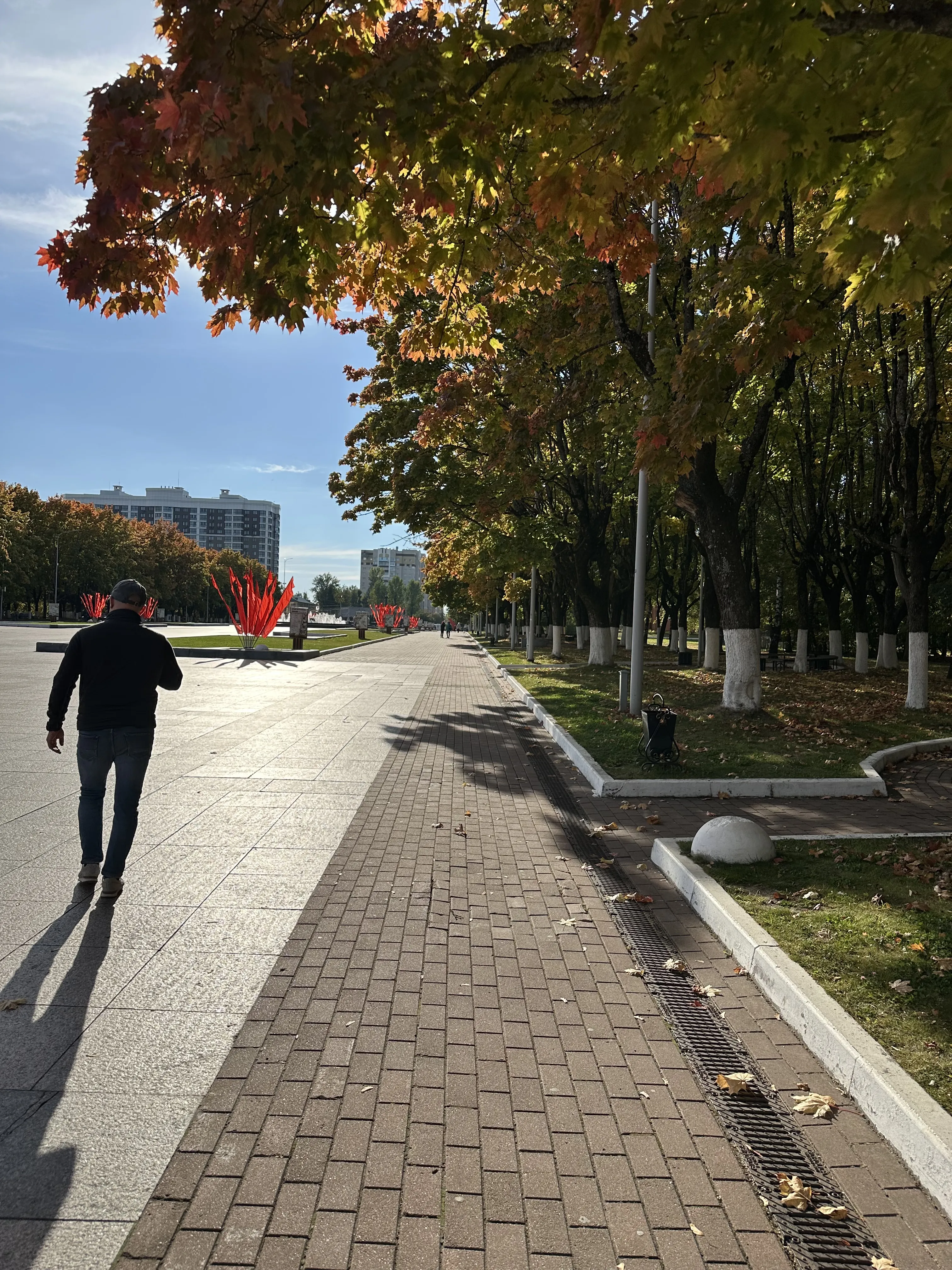 Осень в городе