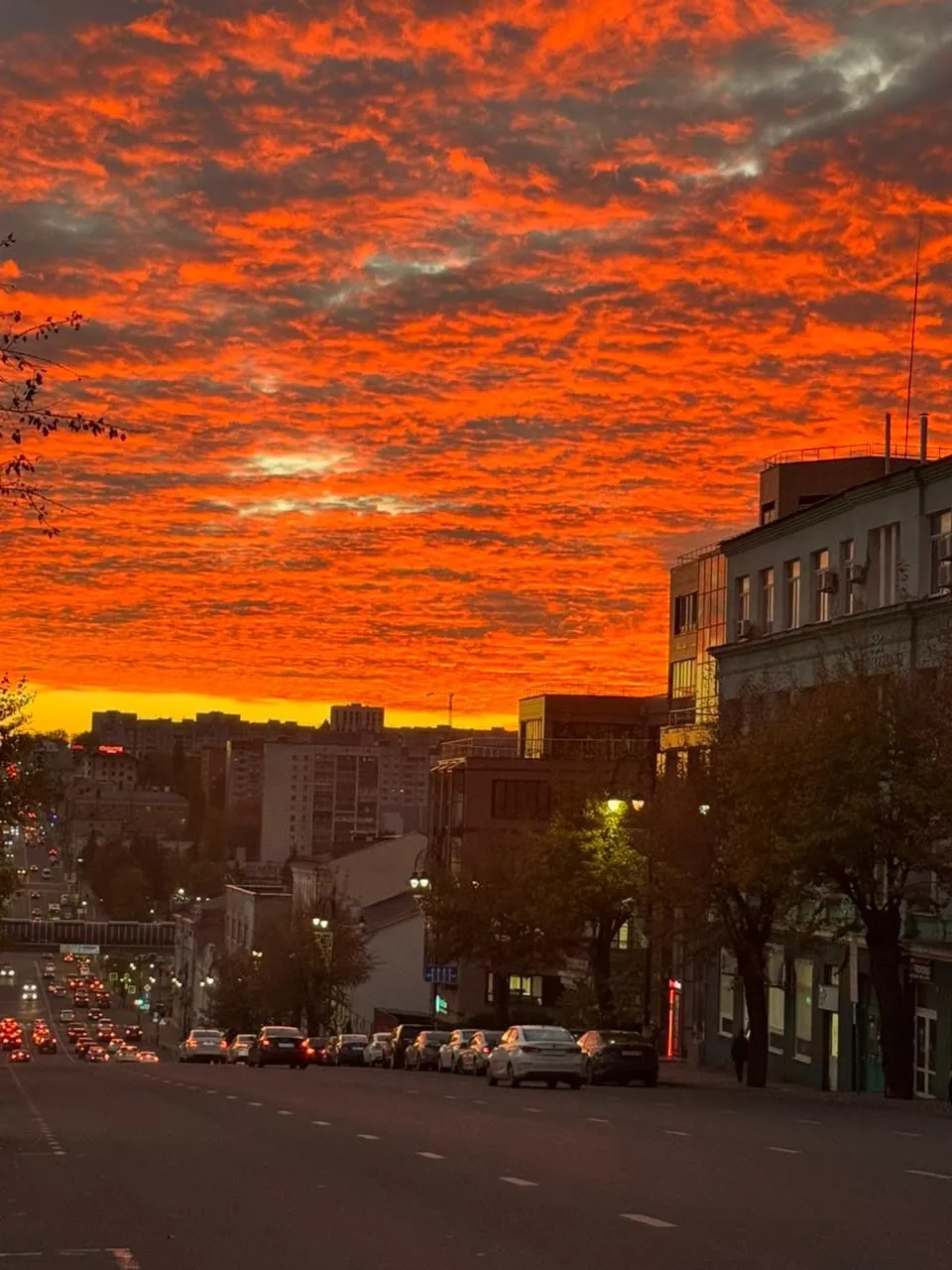Поцелуй заката