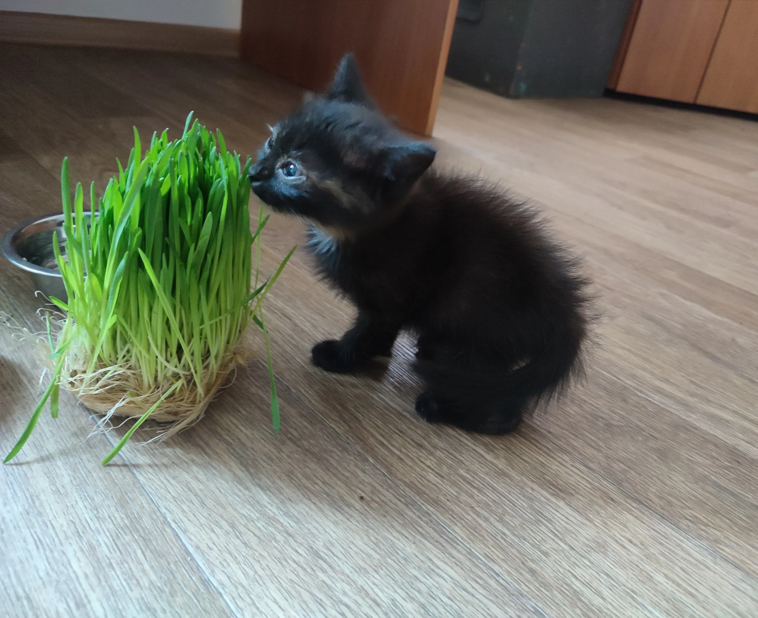 Хрупкий мир