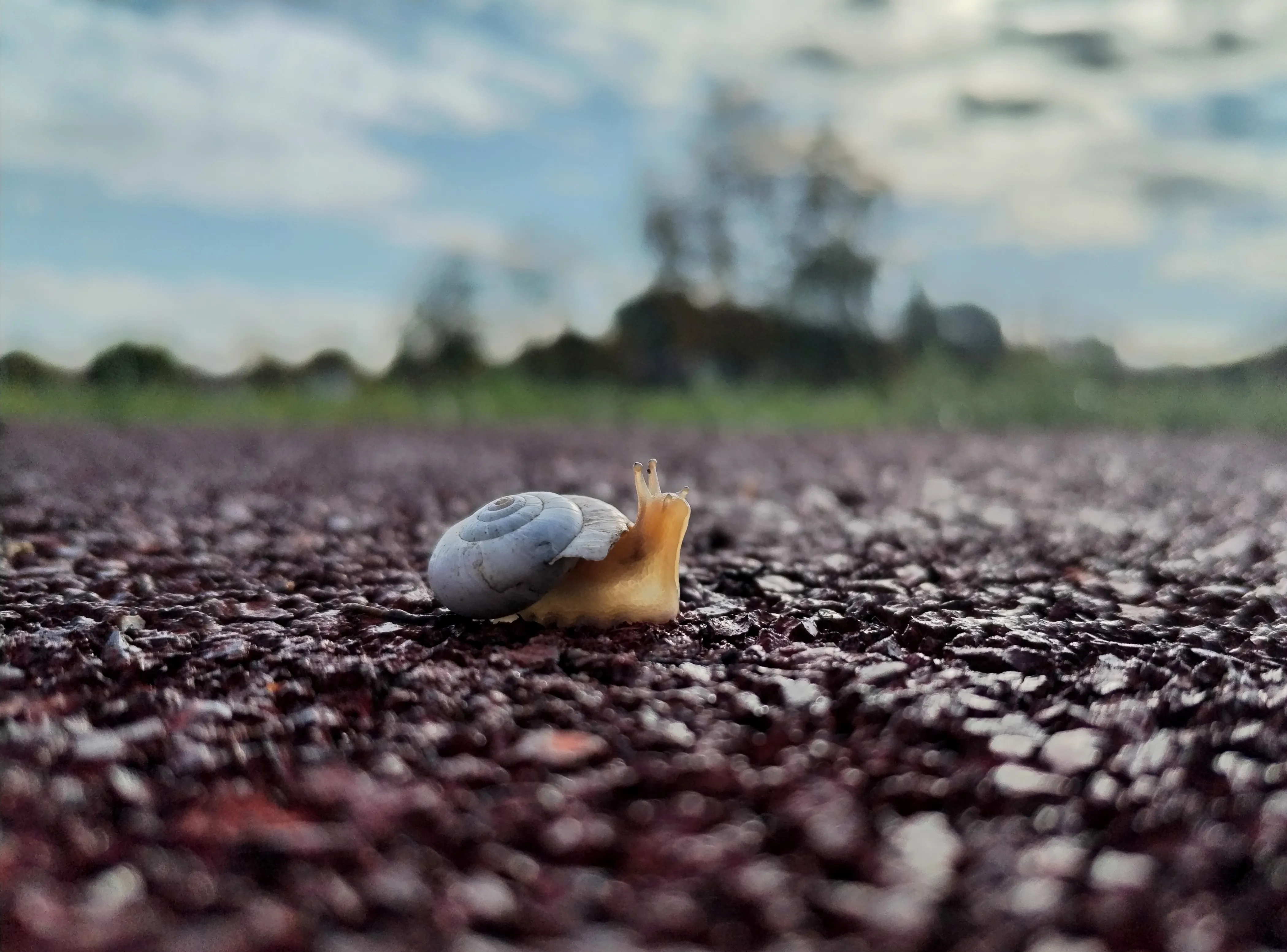 Красота окружающего мира