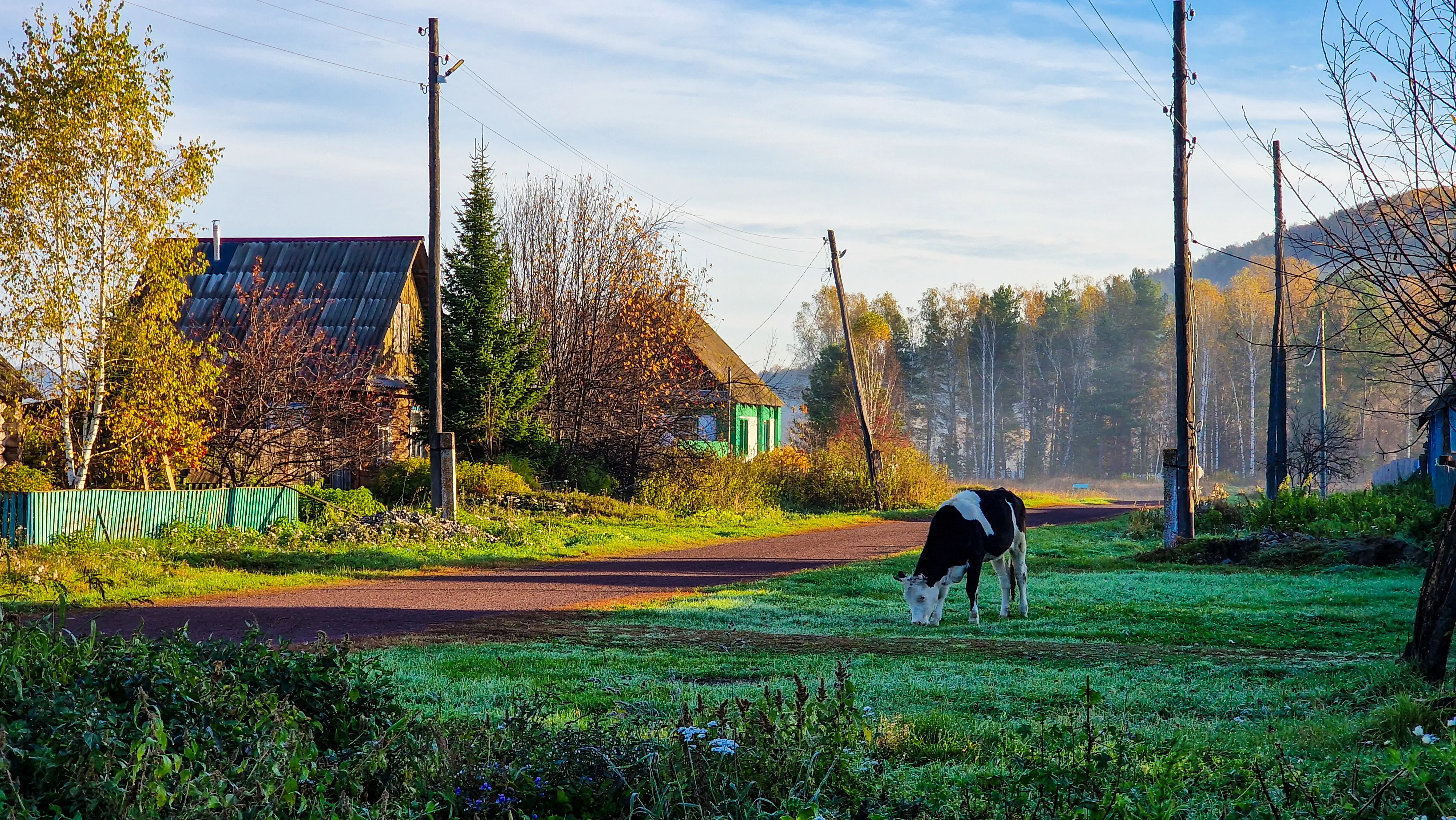 Здесь мой дом родной