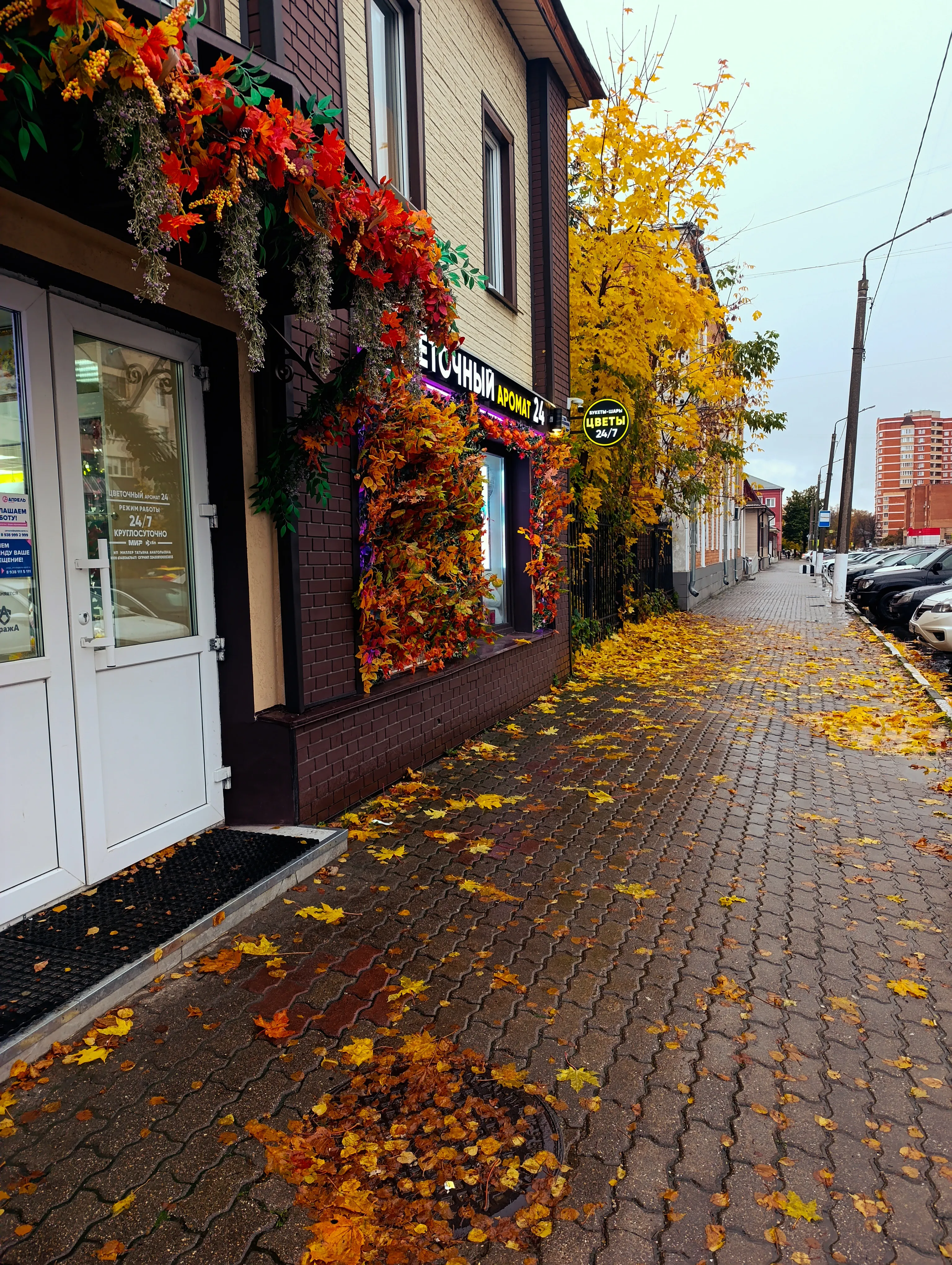 Краски осени