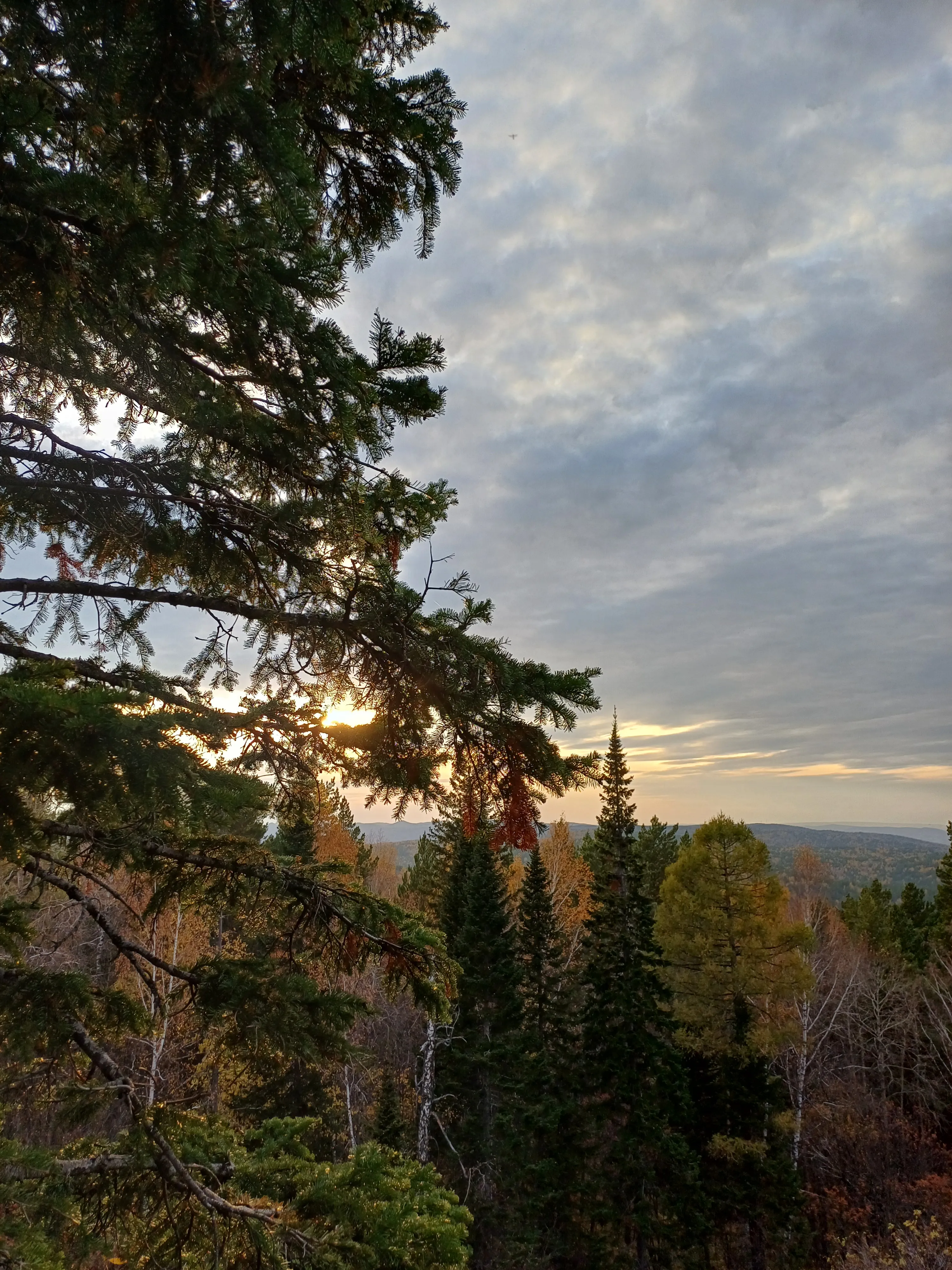 Черная Сопка