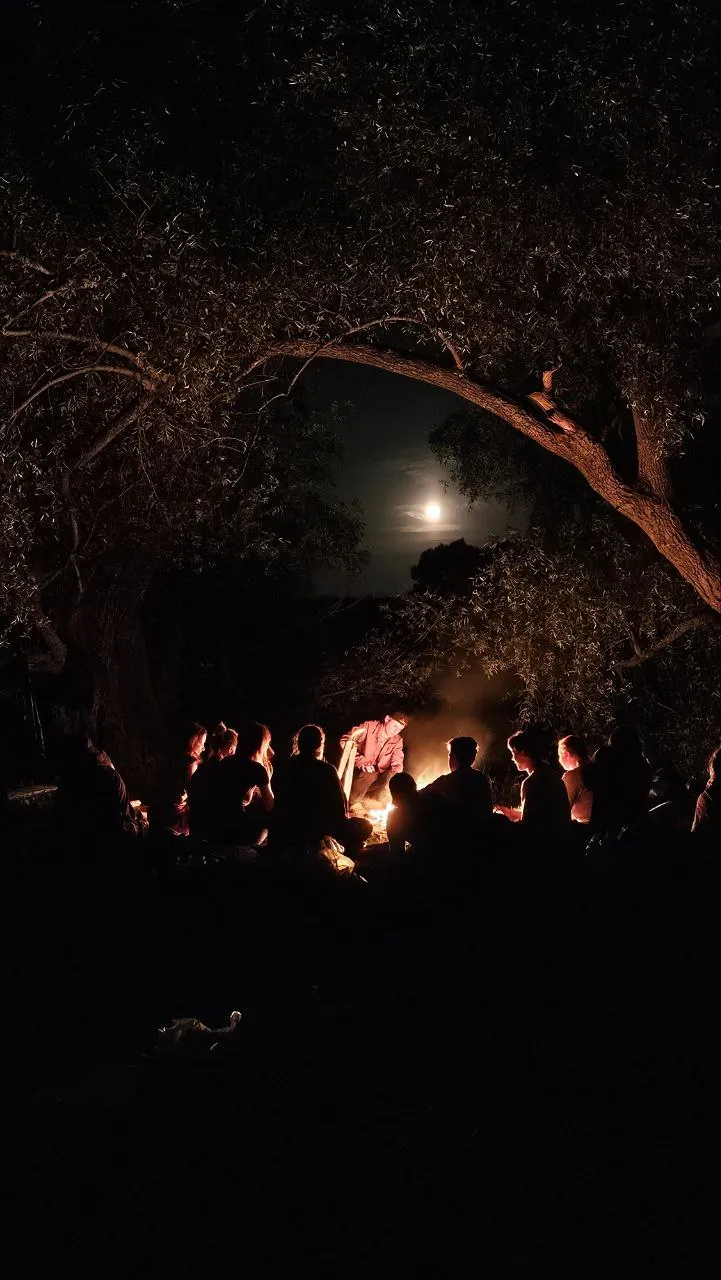 Вечер у костра