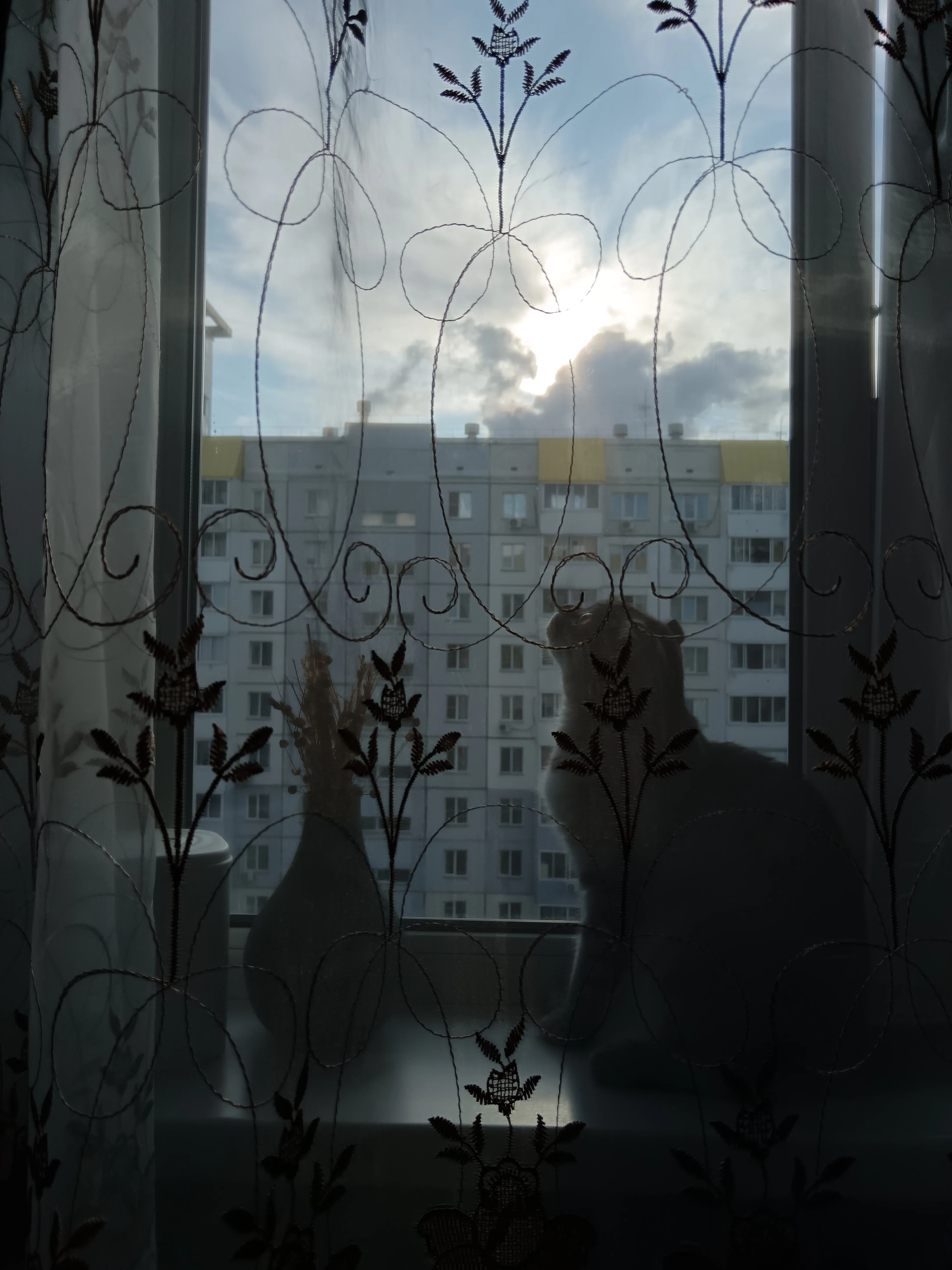 Его Котейшество