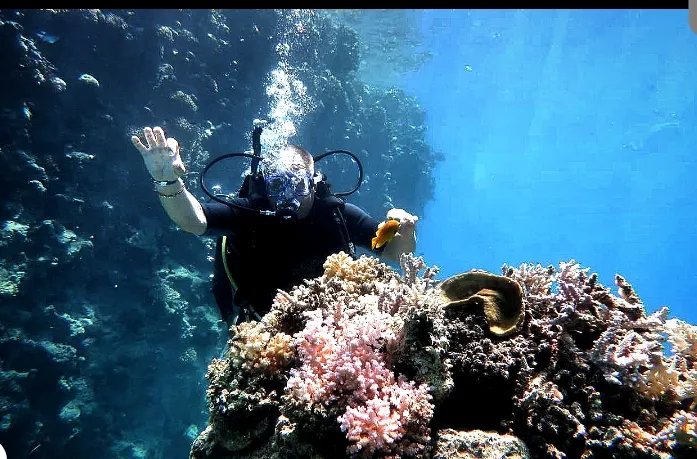 Тайна подводного мира