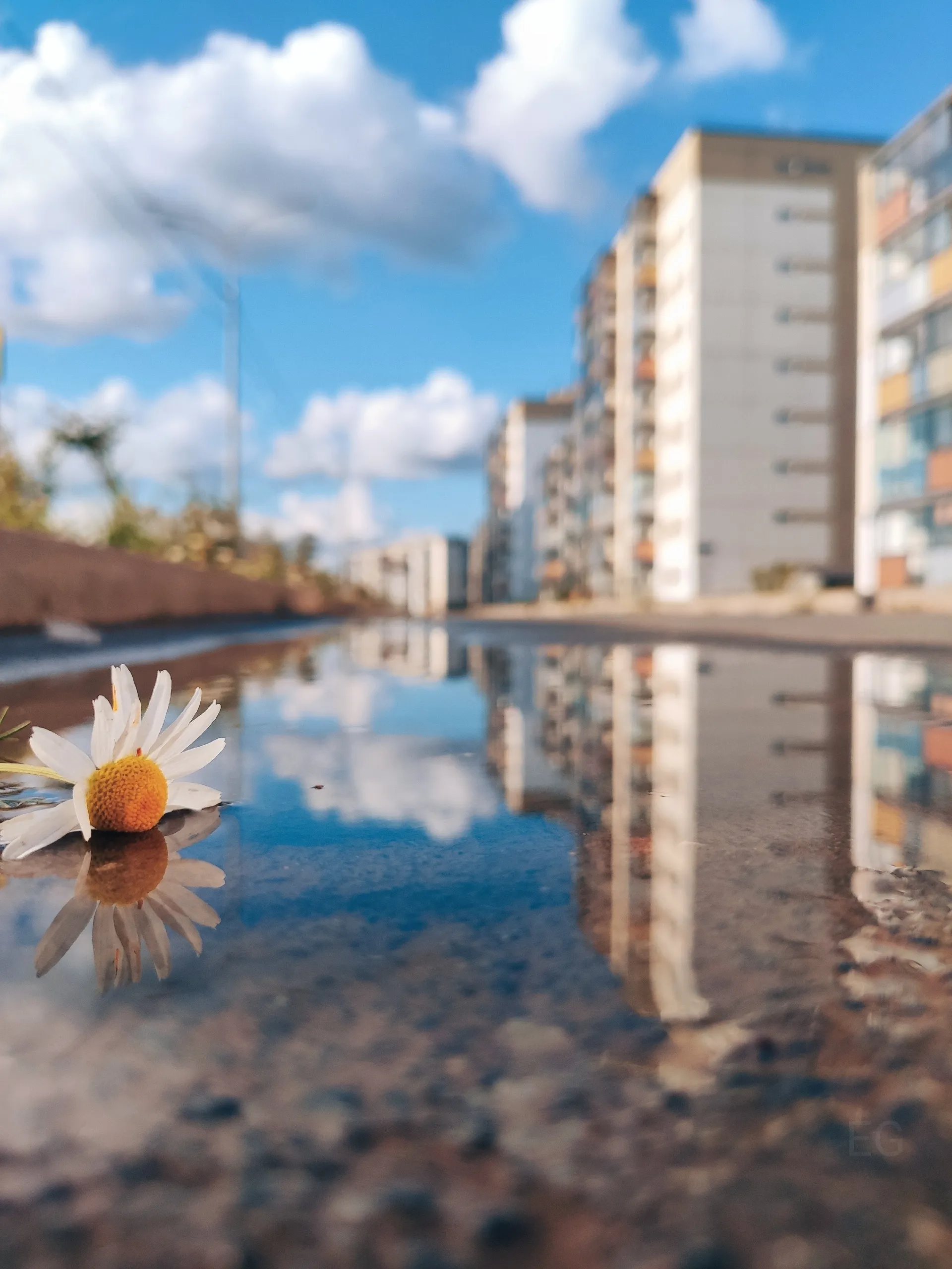 После дождя