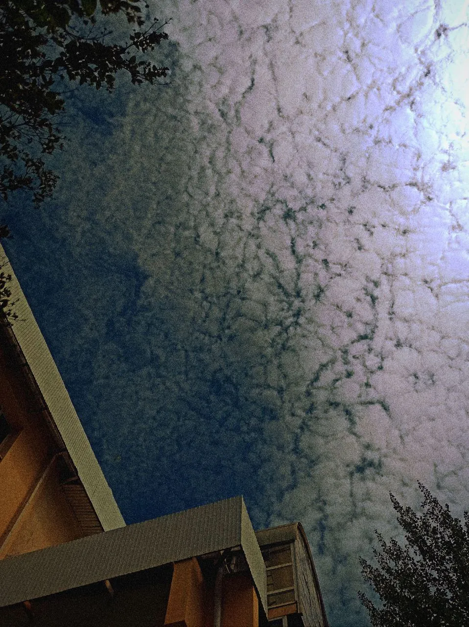 Треск реальности