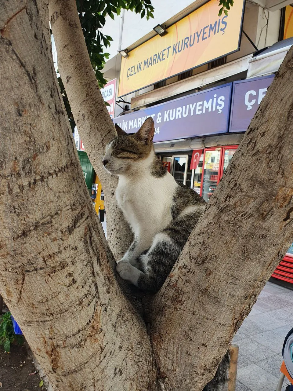 Не мешайте спать