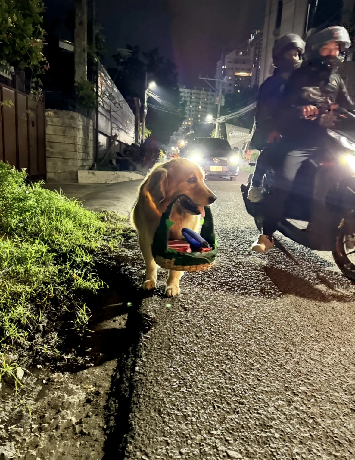 Мир глазами людей