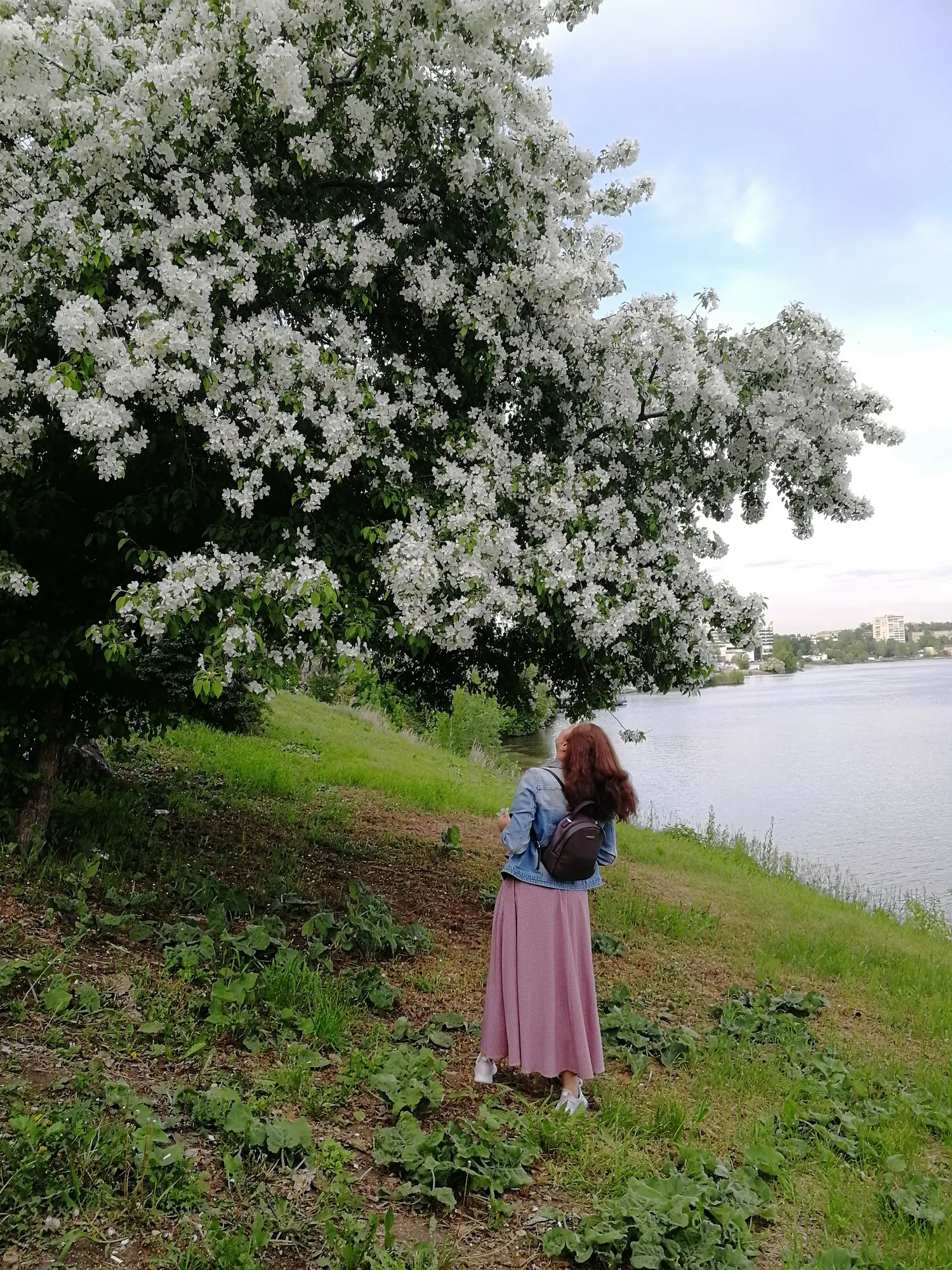 Очарование